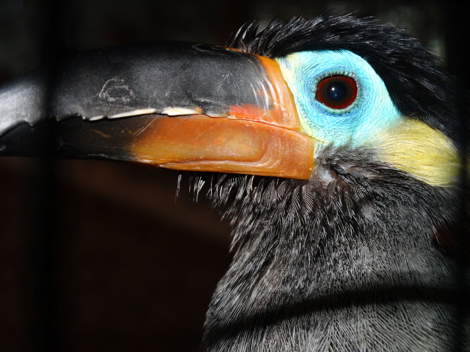 Sony Cyber-shot DSC-HX300 sample photo. Bird, s, eye, view photography
