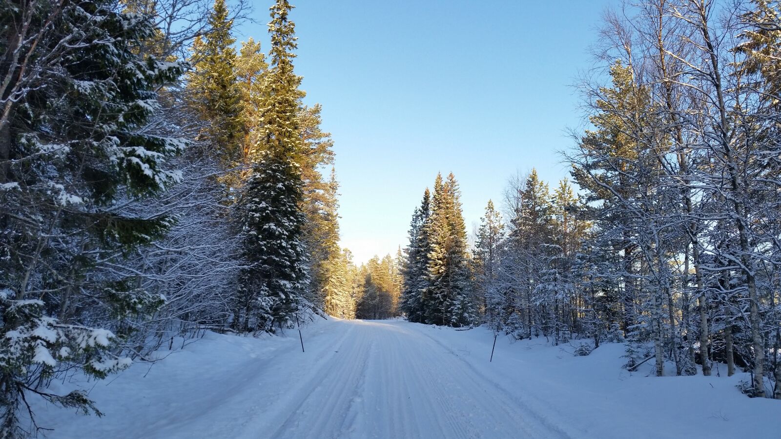 Samsung Galaxy S5 sample photo. Winter, winter landscapes, snow photography