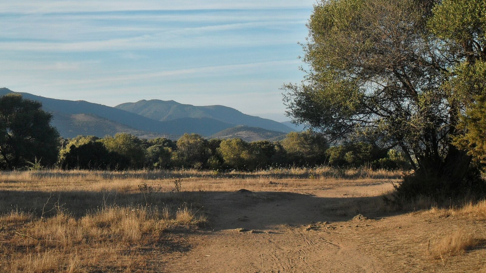 Samsung PL51 / VLUU PL51 /  SL203 sample photo. Meadow, mountain, trees photography