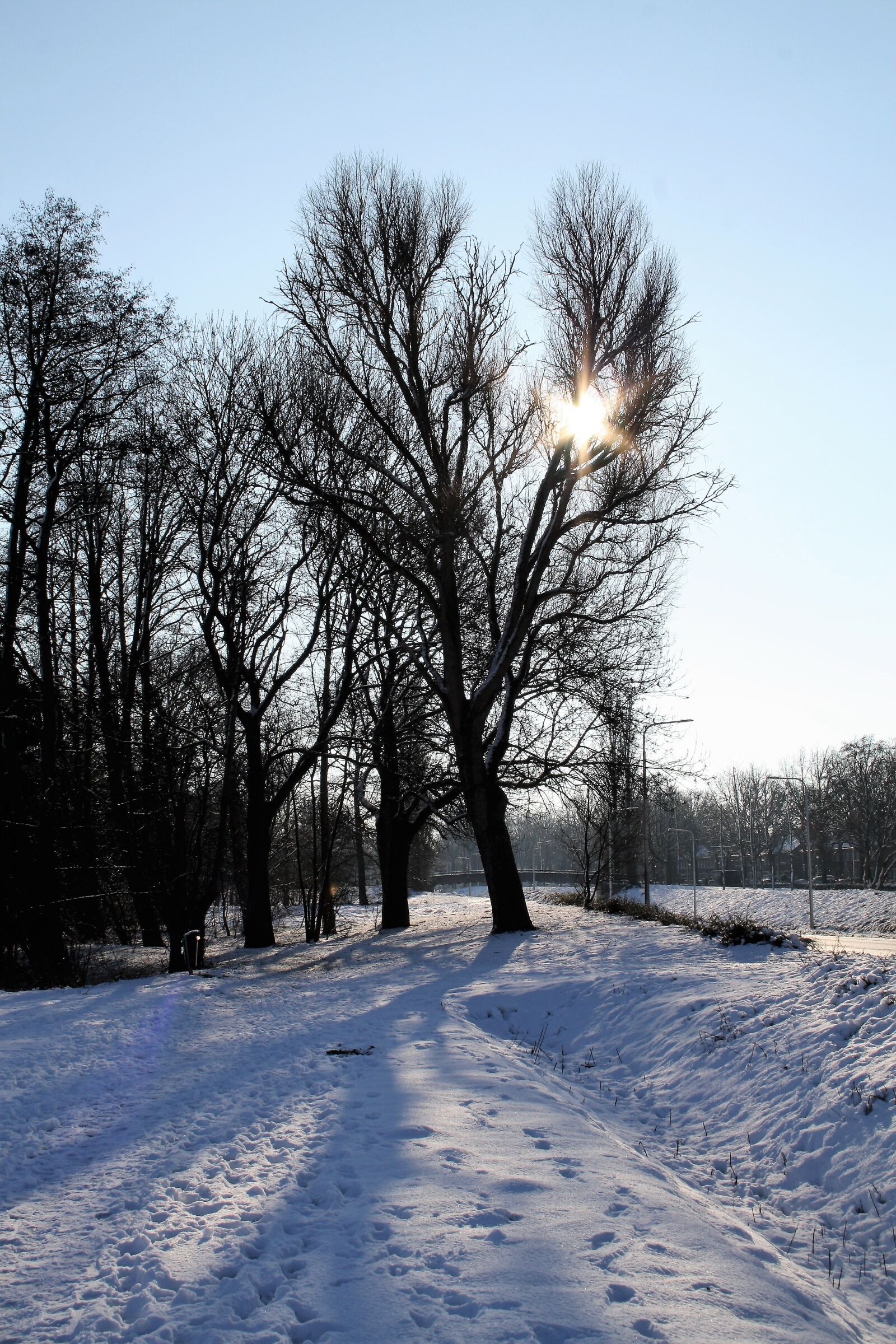 Canon EOS 1000D (EOS Digital Rebel XS / EOS Kiss F) sample photo. Winter, frost, snow photography