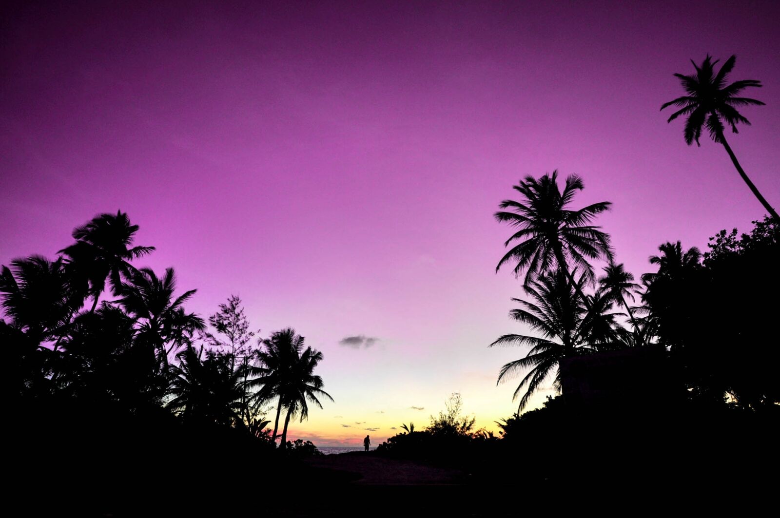 Nikon D300 sample photo. Atoll, beach, couple photography
