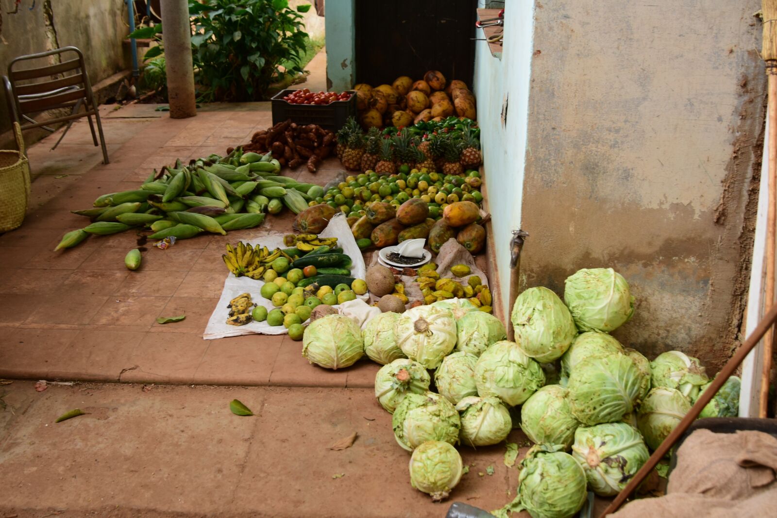 Nikon D810 sample photo. Cuban, produce, storage photography