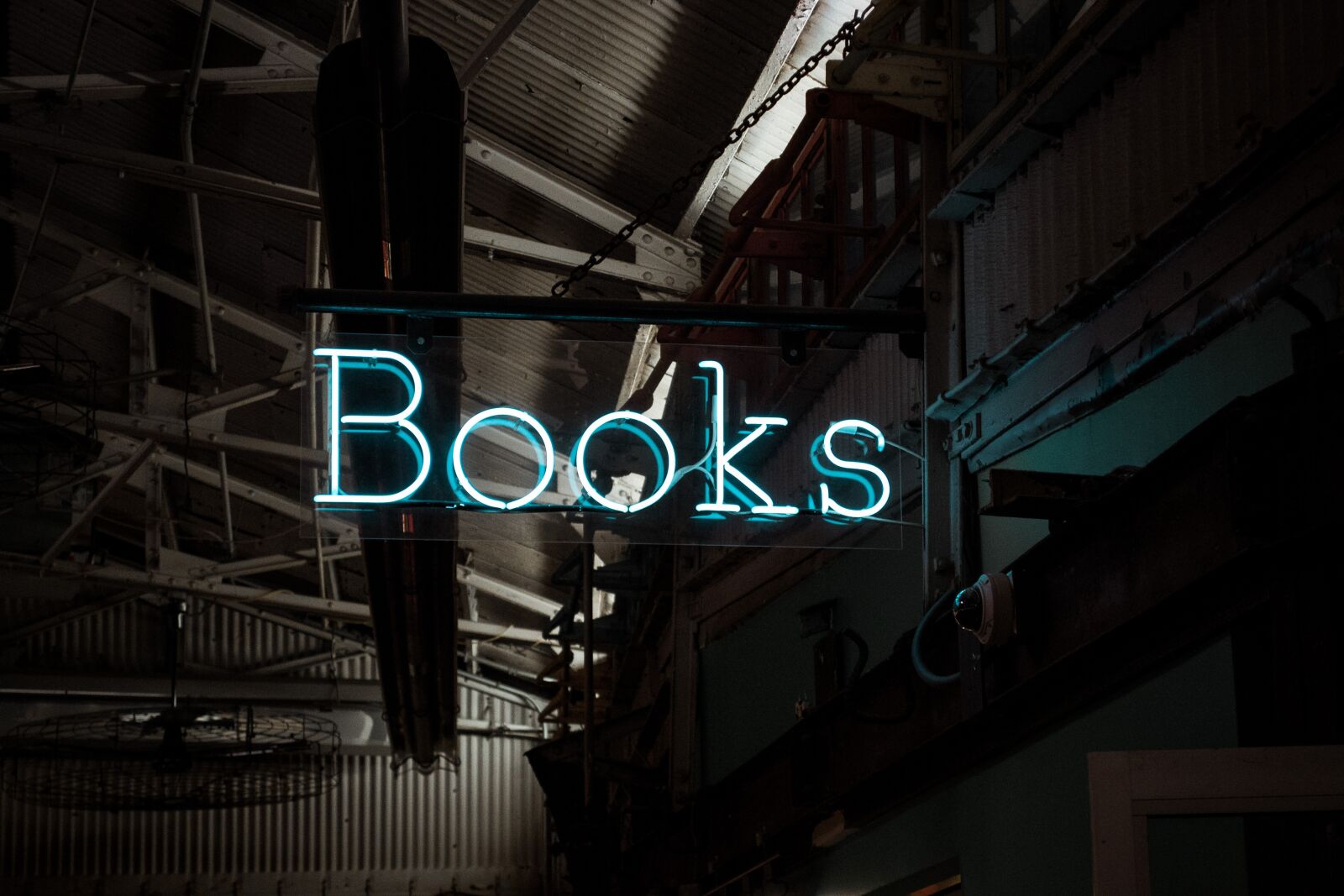 Nikon D3100 sample photo. Books sign, neon sign photography