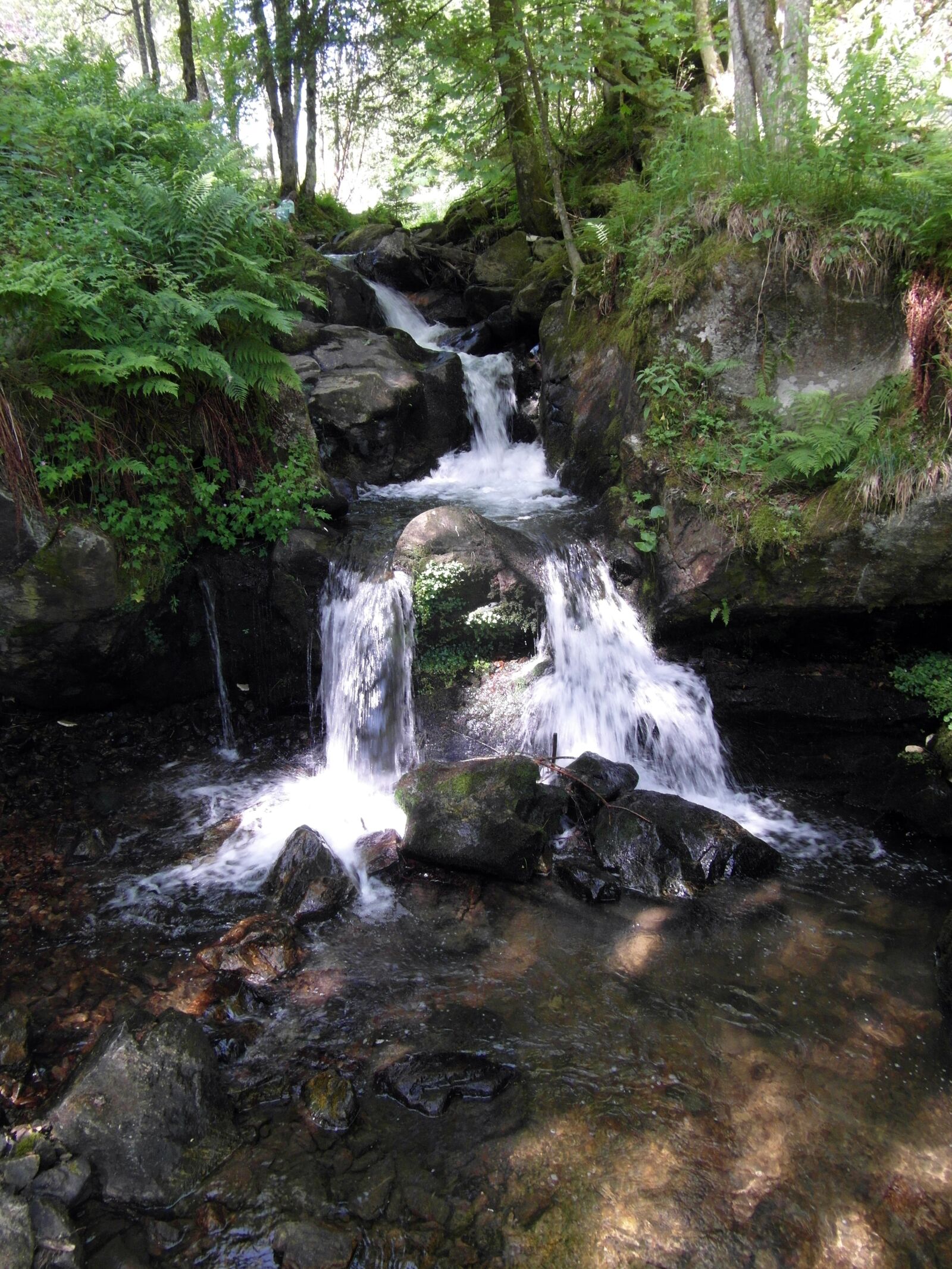 Samsung WB750 sample photo. B l , cool photography