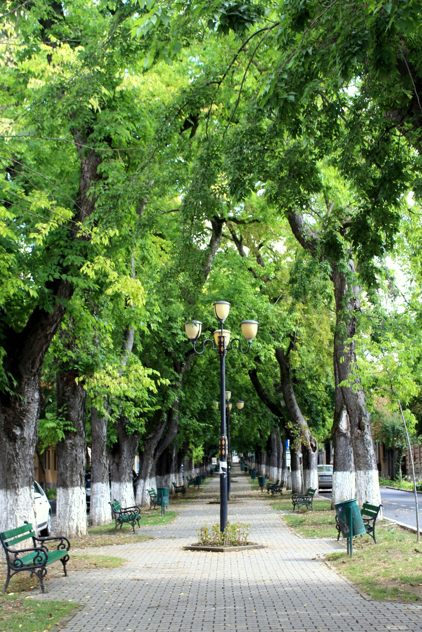 Canon EOS 700D (EOS Rebel T5i / EOS Kiss X7i) sample photo. Park, targu mures, romania photography