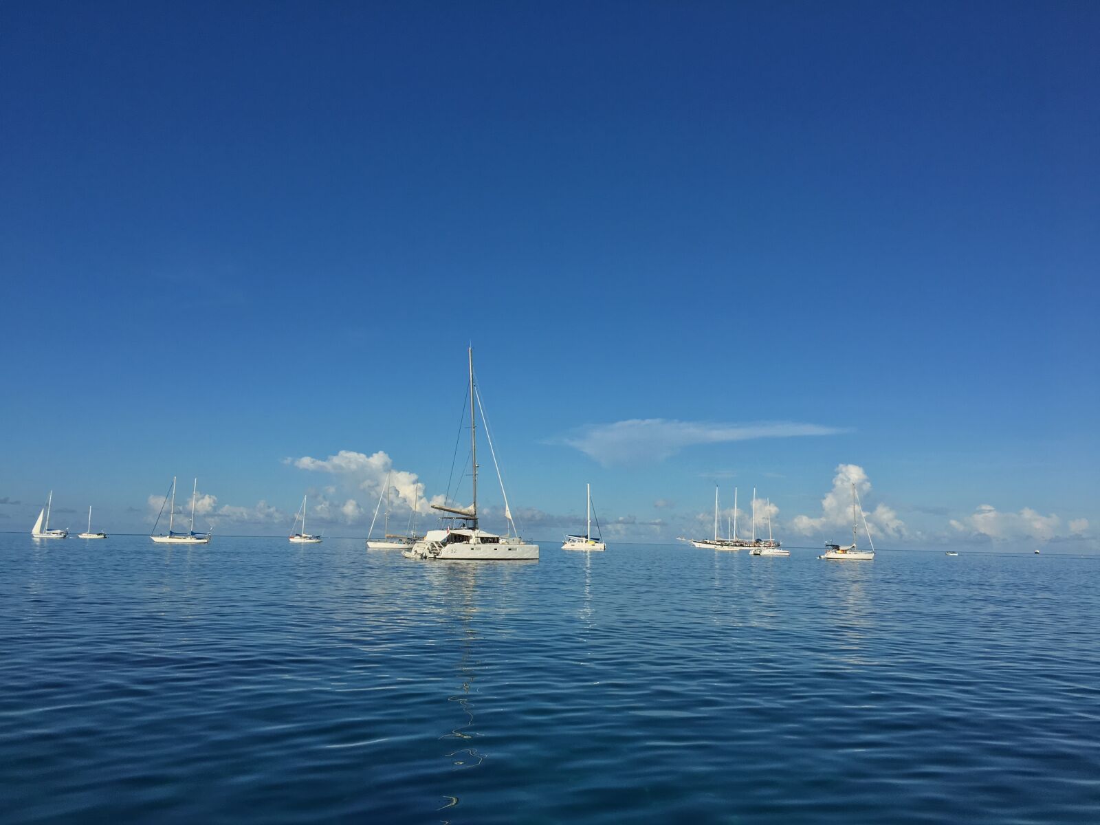 Apple iPhone 6s sample photo. Catamaran, sea, caribbean photography
