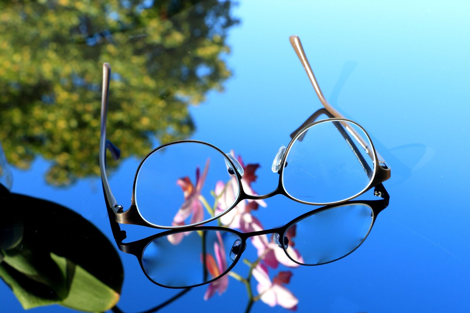 Canon EOS 700D (EOS Rebel T5i / EOS Kiss X7i) sample photo. Glasses, see, lenses photography