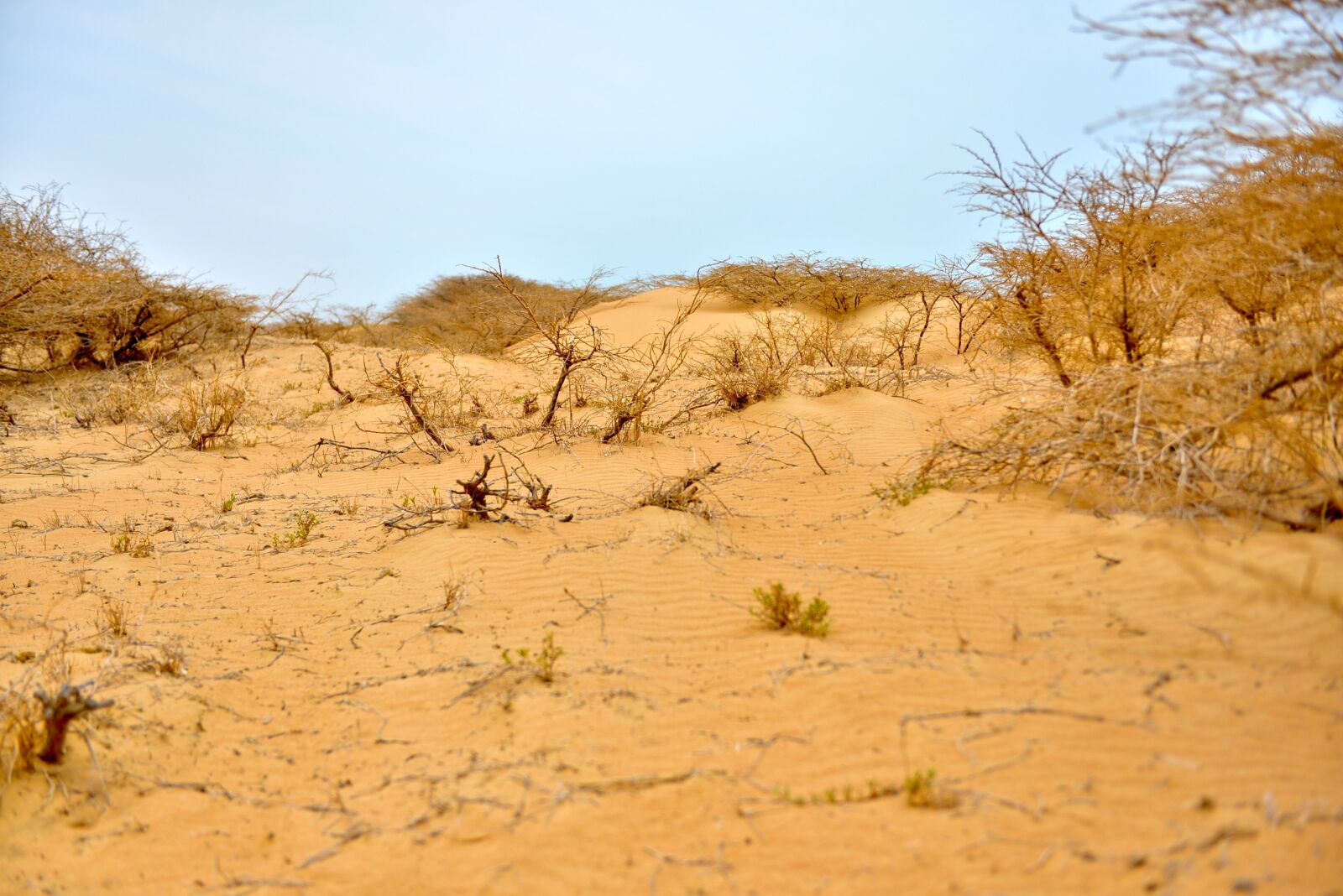 Nikon D600 sample photo. Desert, house, landscape photography