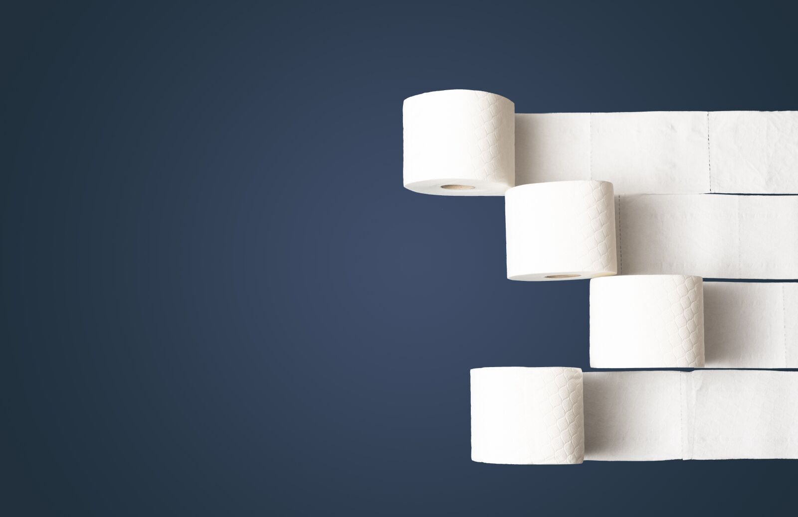 Nikon D750 sample photo. Toilet paper, toilet, paper photography