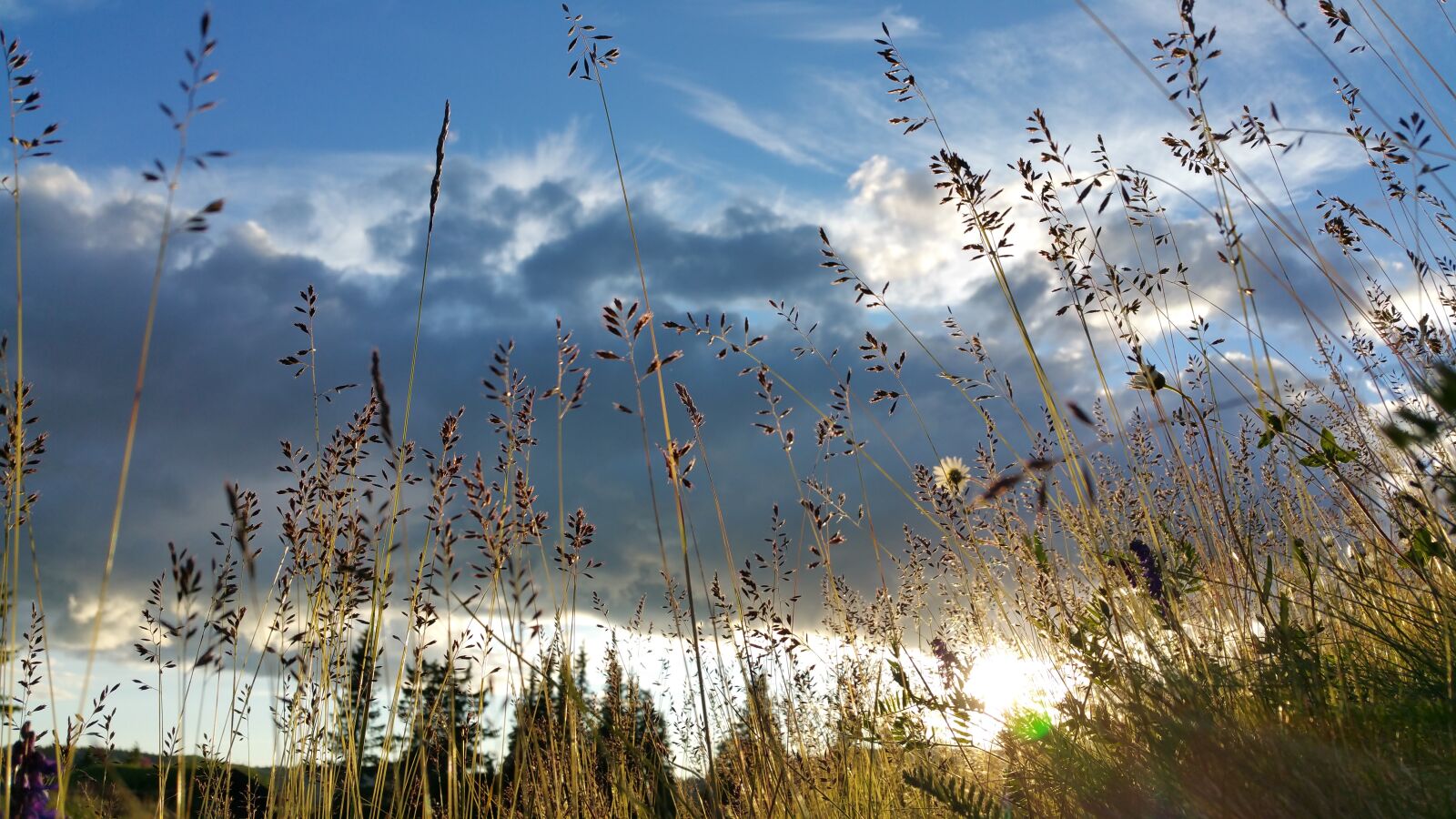 Samsung Galaxy Note4 sample photo. Nature, norway, straws, sunset photography