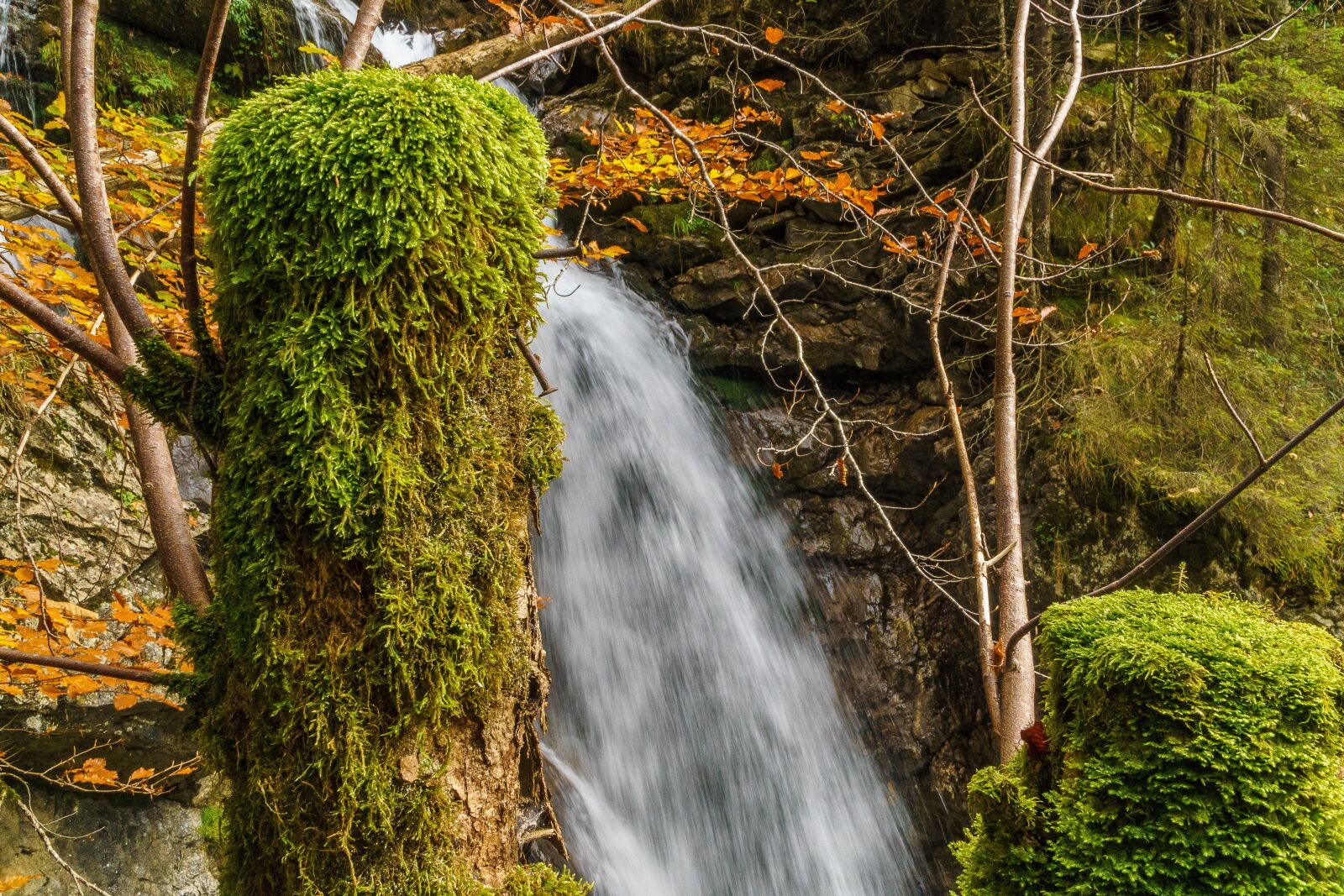 Sony a6000 + Sony E PZ 18-105mm F4 G OSS sample photo. Foghorn, wrinkle bach, tobel photography