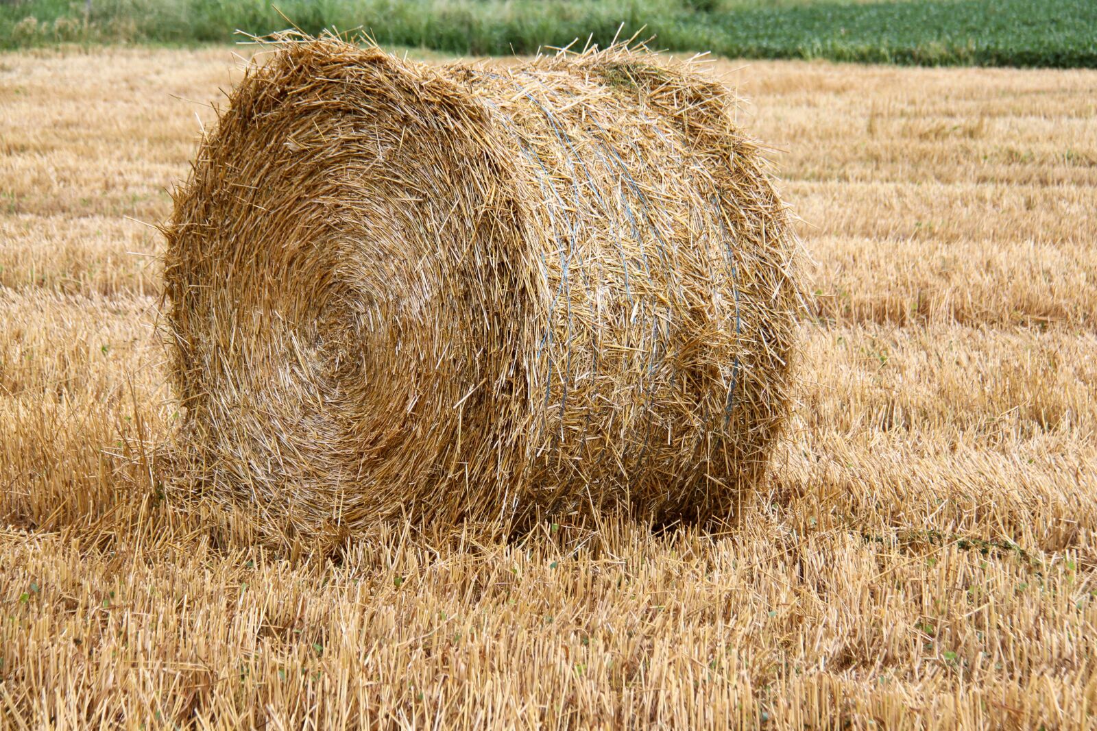 Canon EOS 7D + Canon EF-S 18-200mm F3.5-5.6 IS sample photo. Haystack, wheat, field photography
