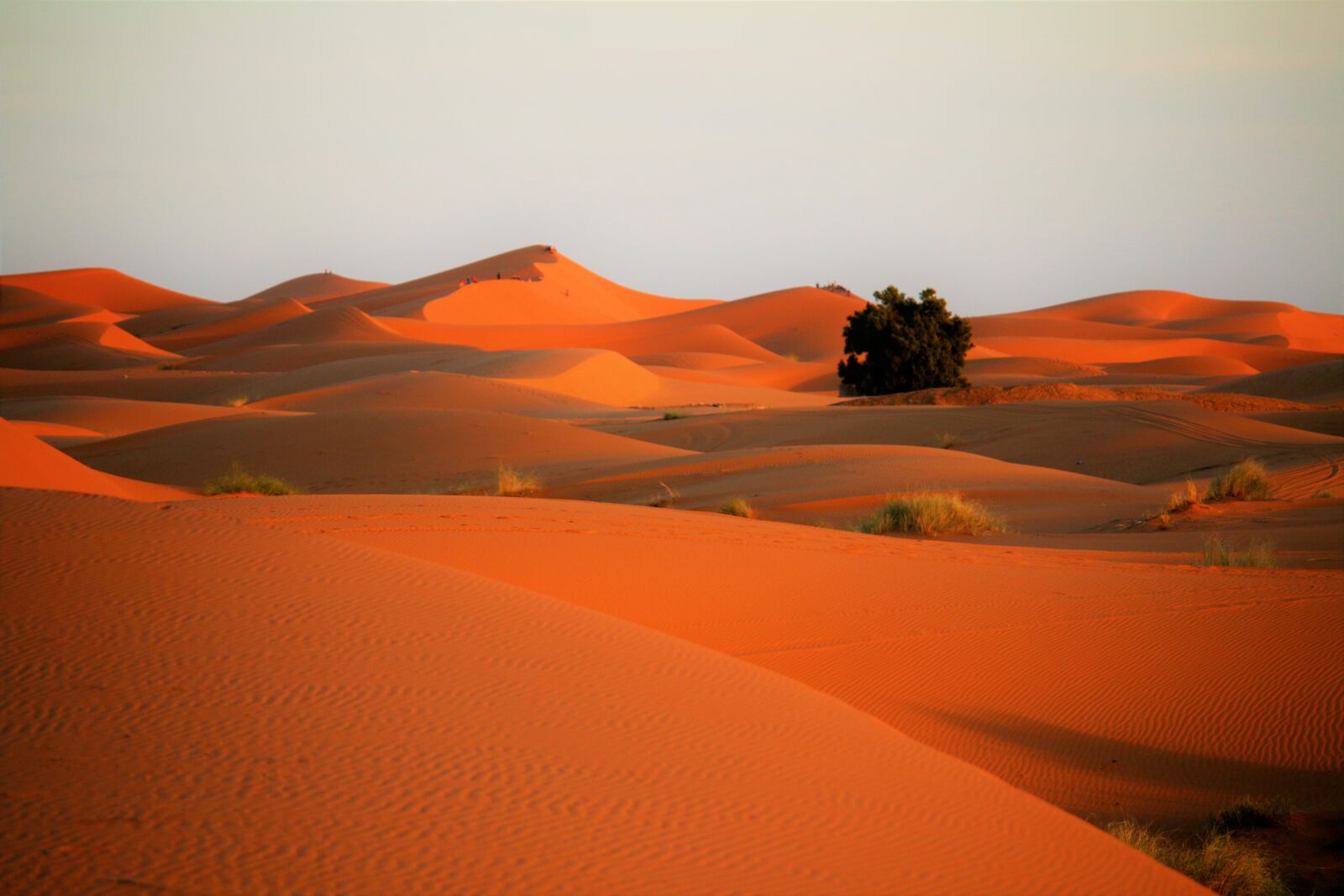 Canon EOS 70D + Canon EF-S 55-250mm F4-5.6 IS sample photo. Desert, sand, sahara photography