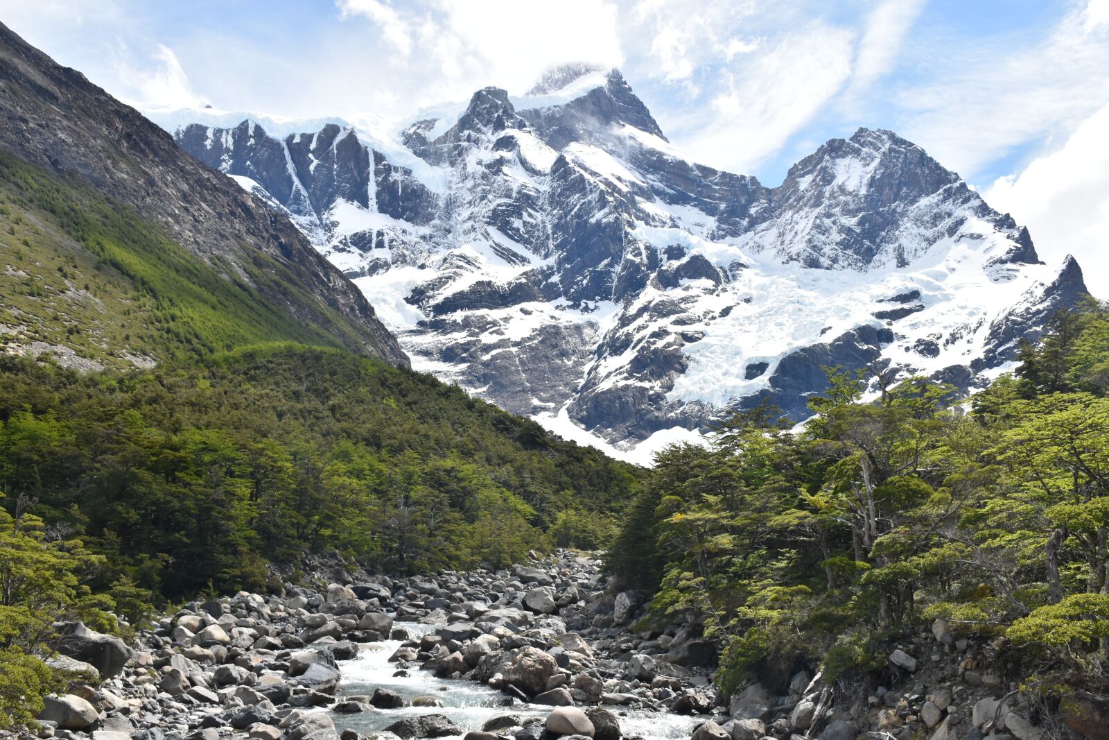 Nikon D5500 sample photo. Patagonia, torres del paine photography