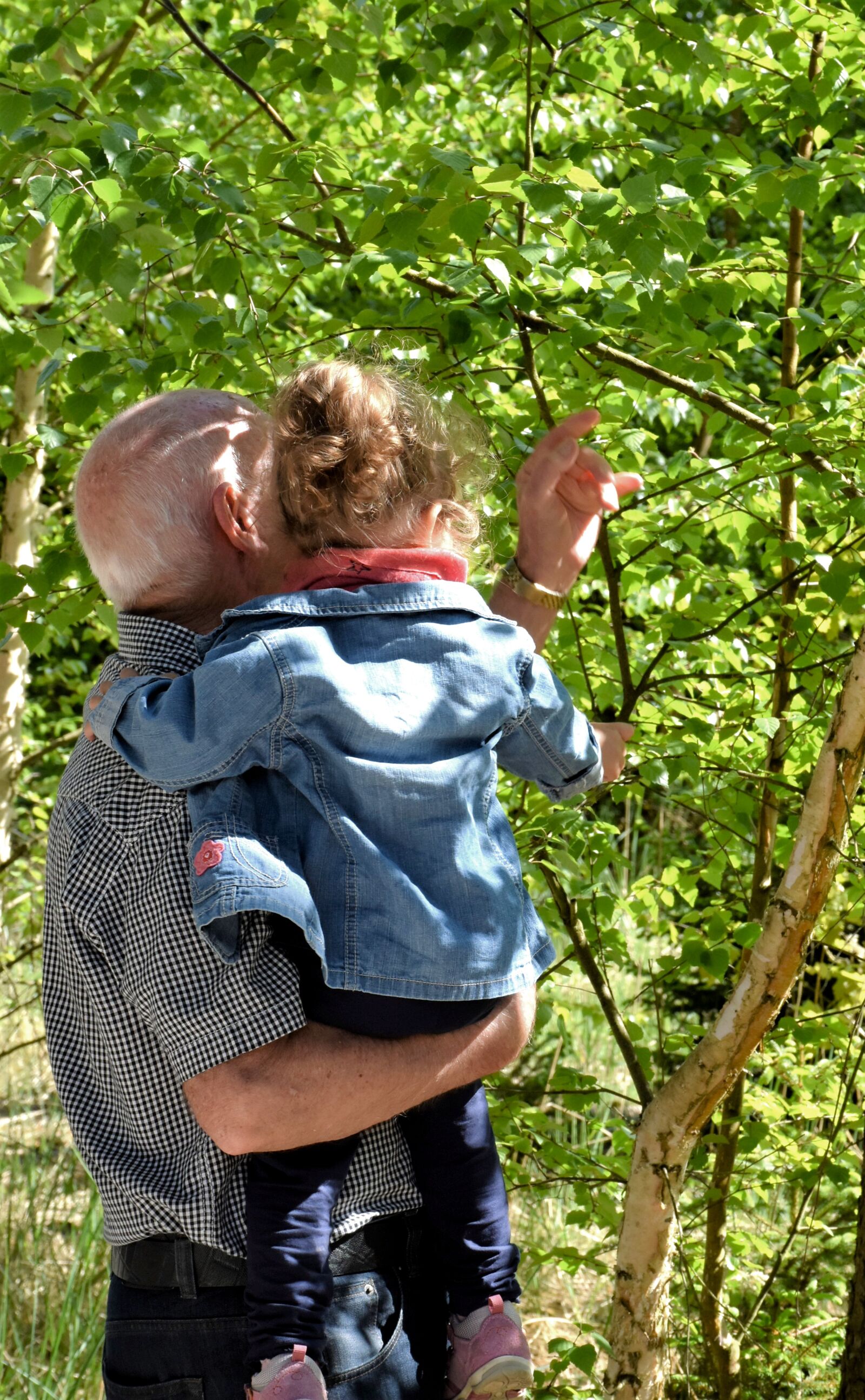 Nikon D7200 sample photo. Grandpa, small child, grandson photography