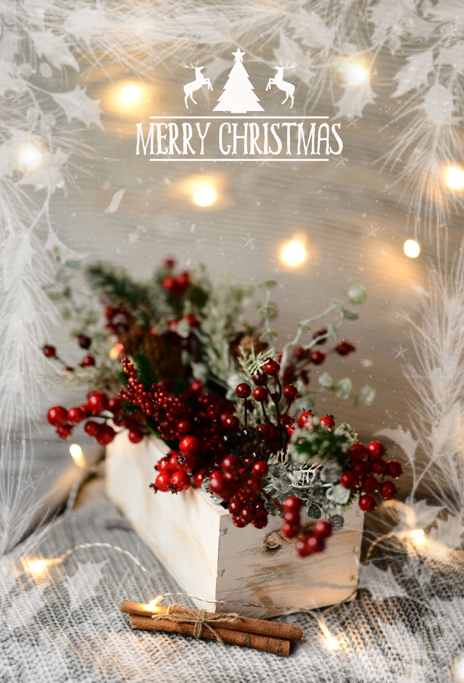 Nikon D800 sample photo. Decoration, the scenery, red photography
