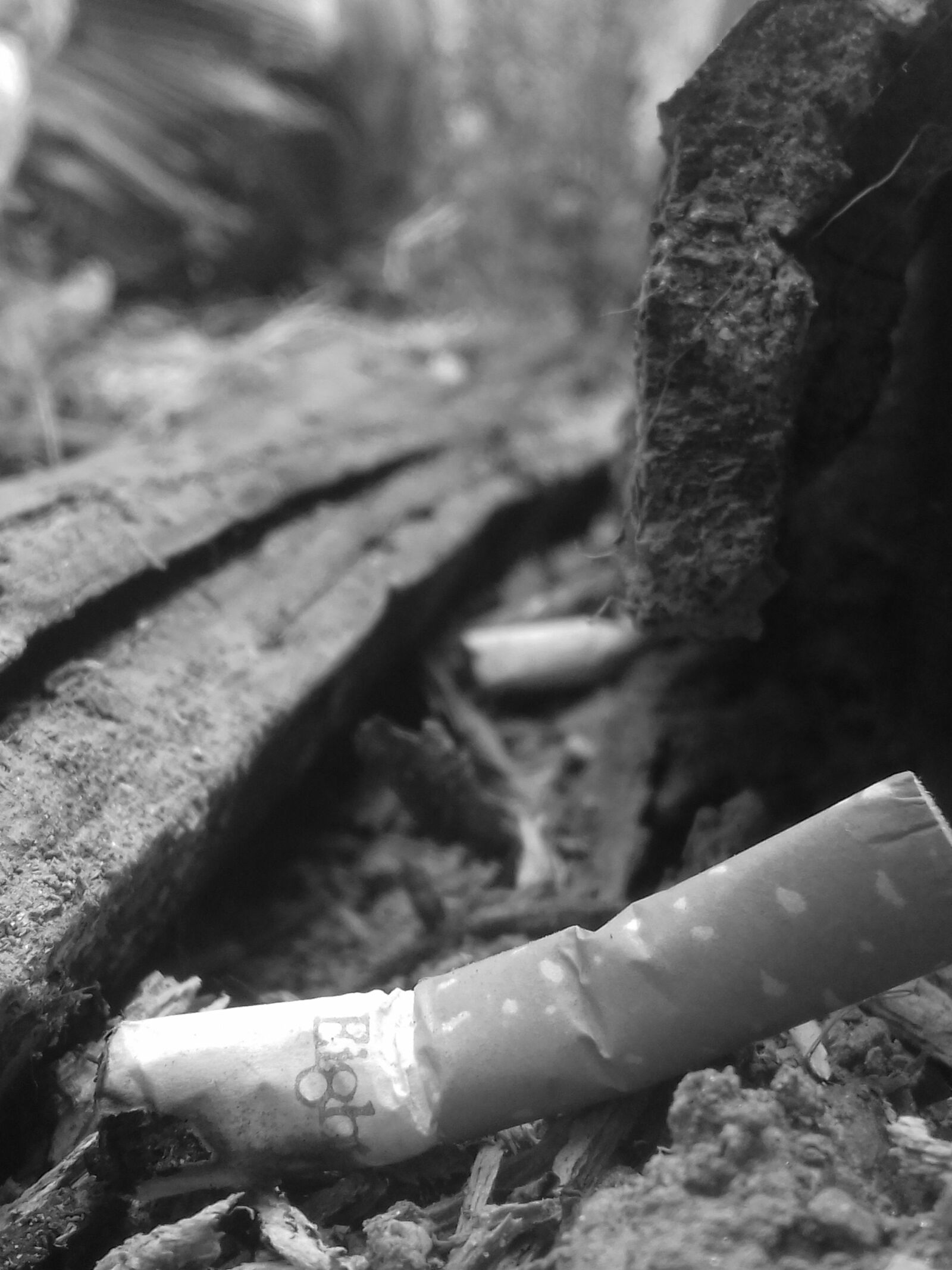 Samsung Galaxy J3(2016) sample photo. Image, focus, cigarette photography