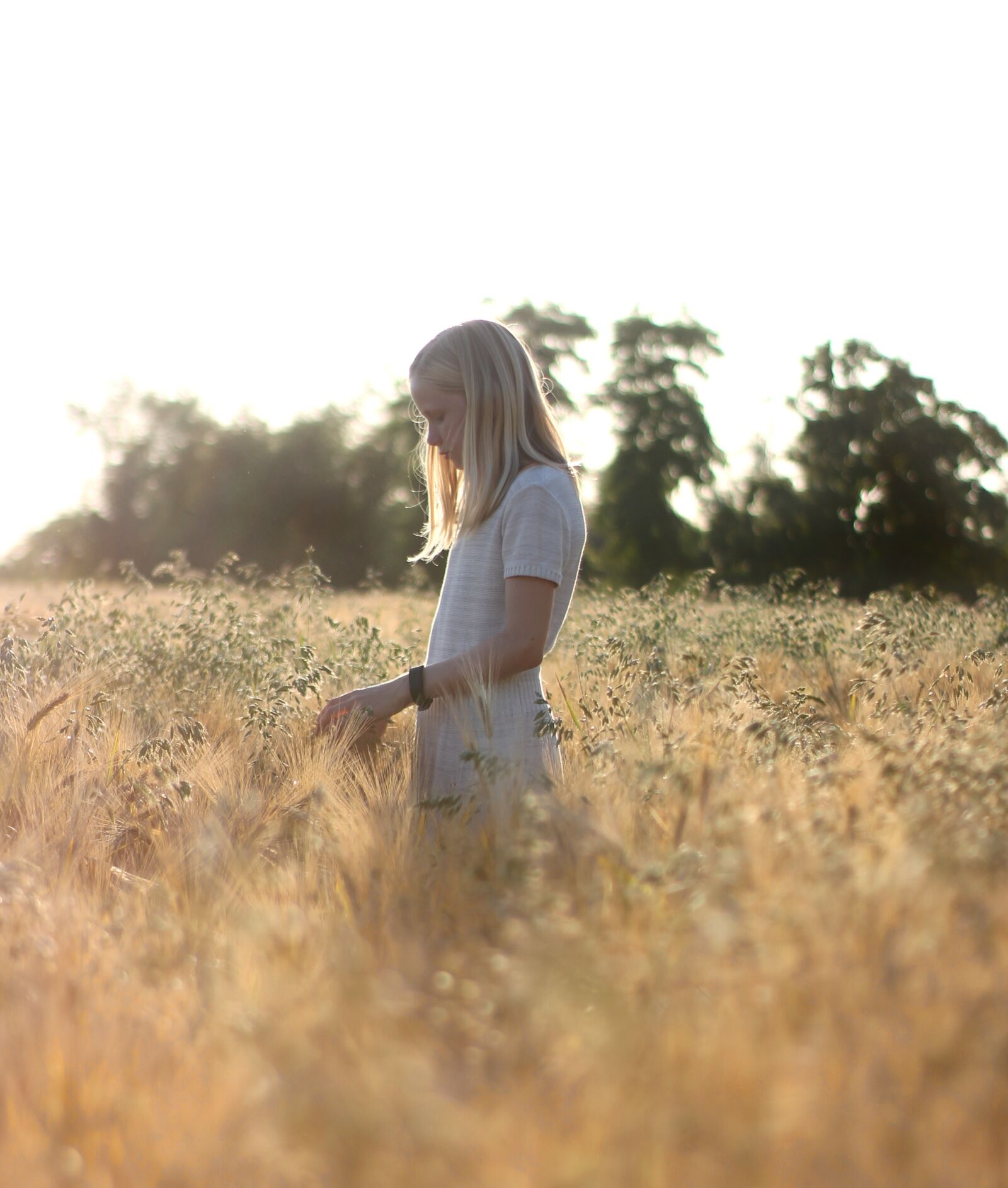 Canon EOS 1100D (EOS Rebel T3 / EOS Kiss X50) sample photo. Girl, field, wheat photography