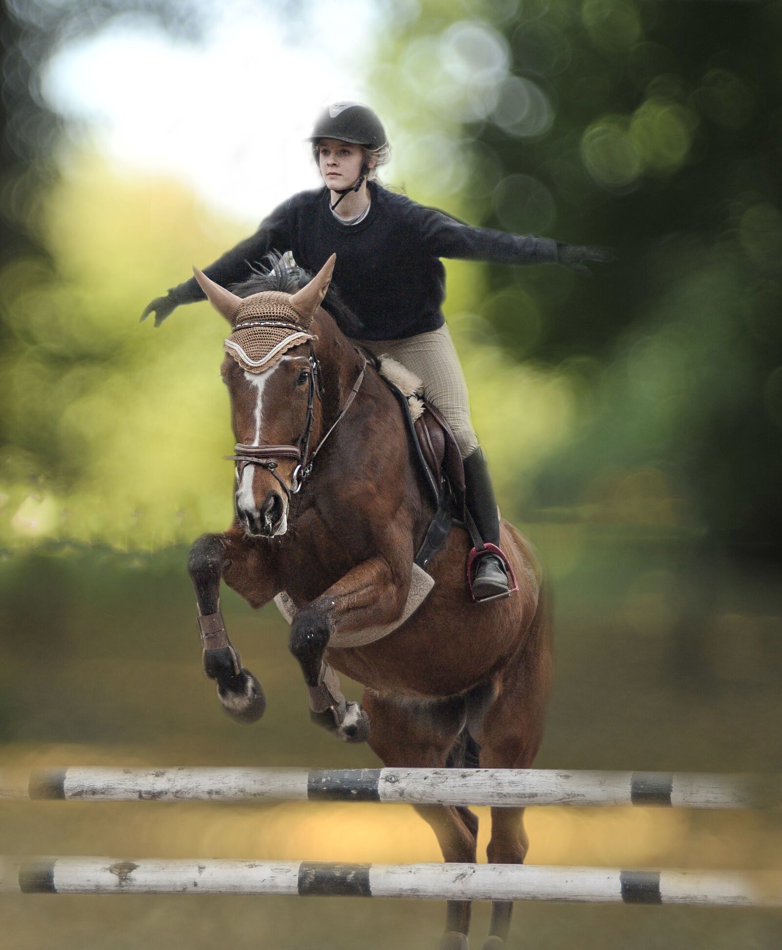Nikon D700 sample photo. The horse, horses, flight photography