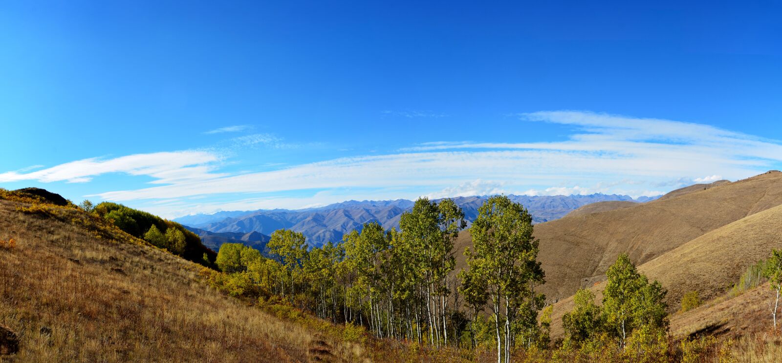 Nikon D7100 sample photo. Autumn, season, nature photography