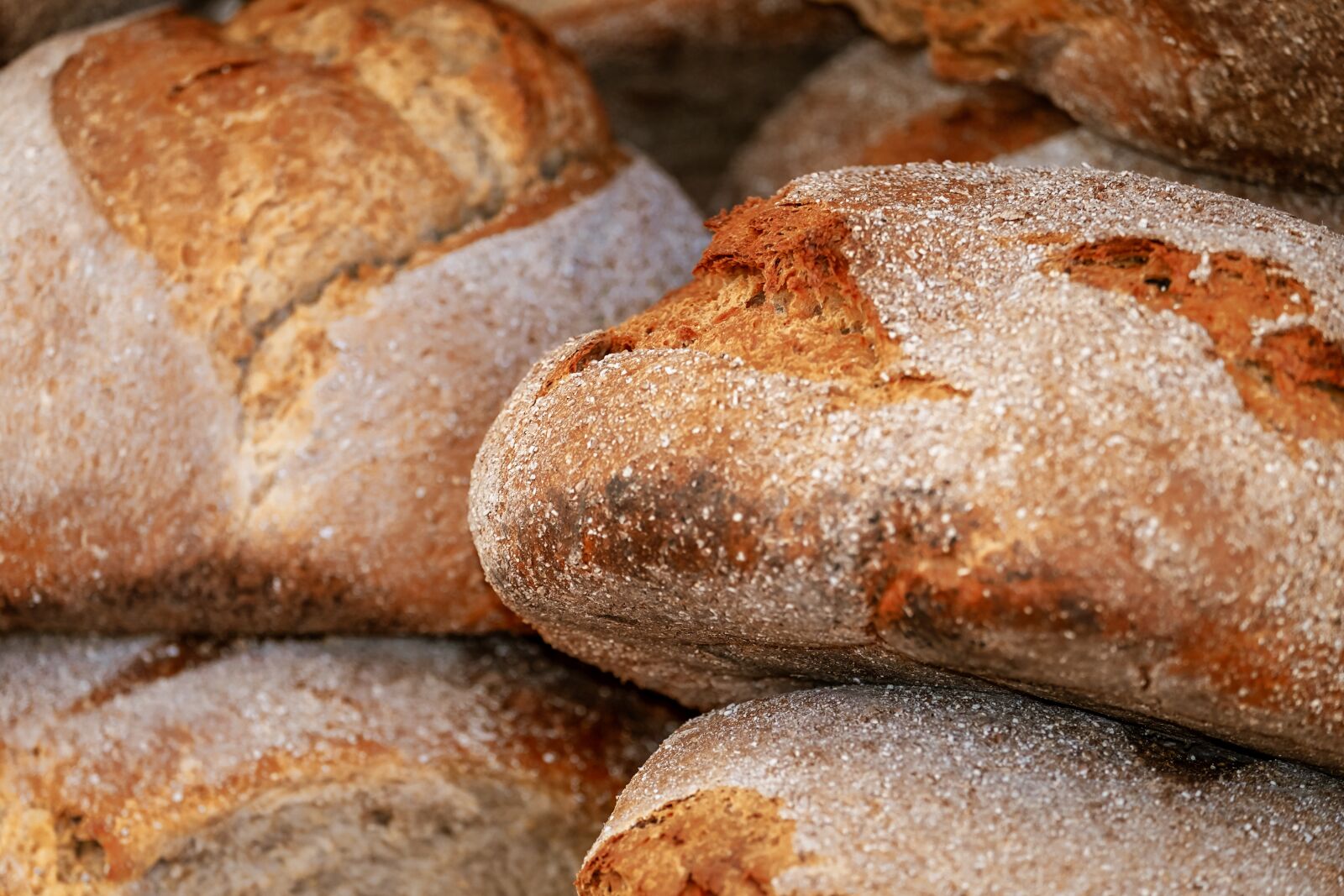 Fujifilm XF 55-200mm F3.5-4.8 R LM OIS sample photo. Bread, loaf of bread photography