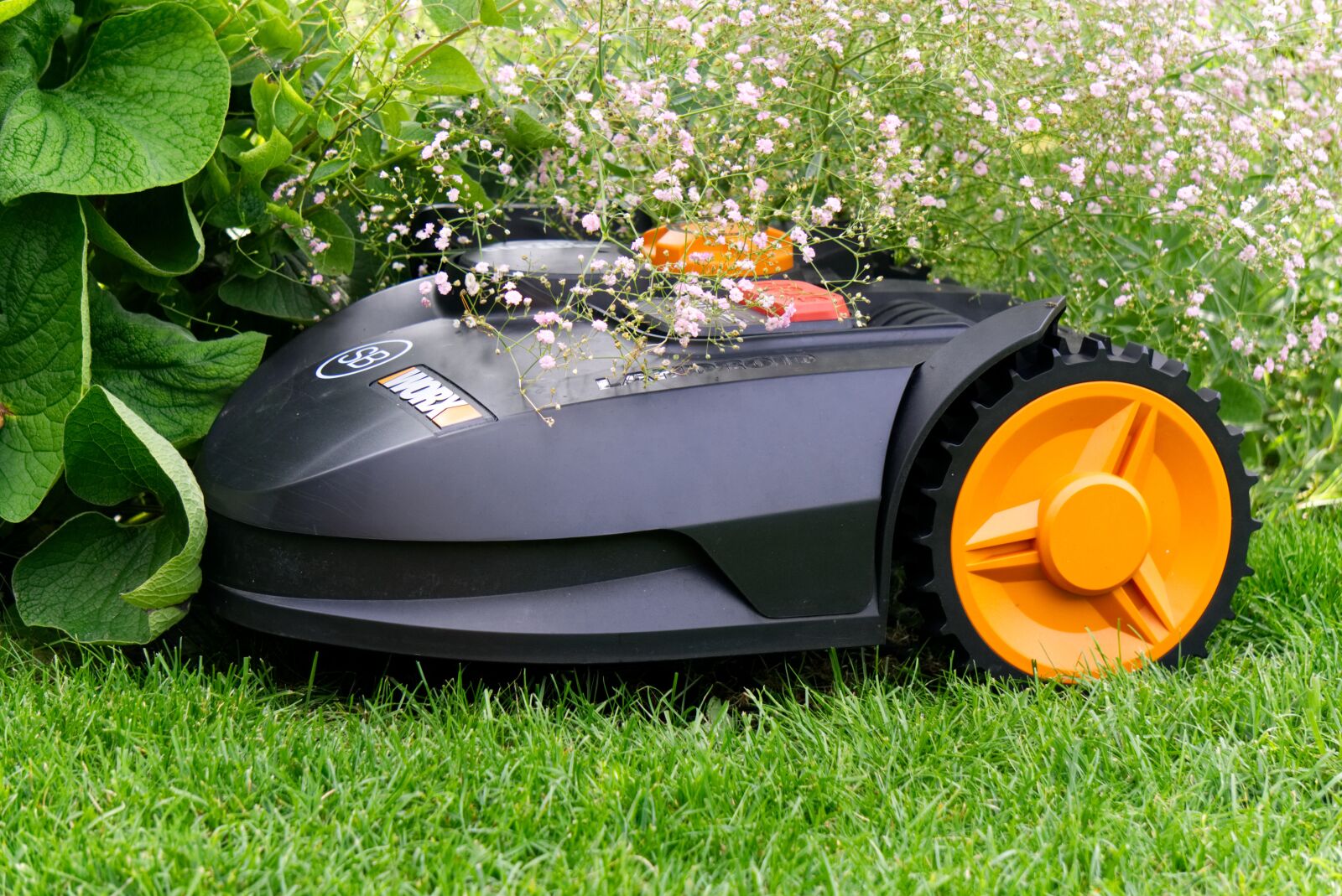 Sony a6000 sample photo. Robot mower, robot, autonomous photography