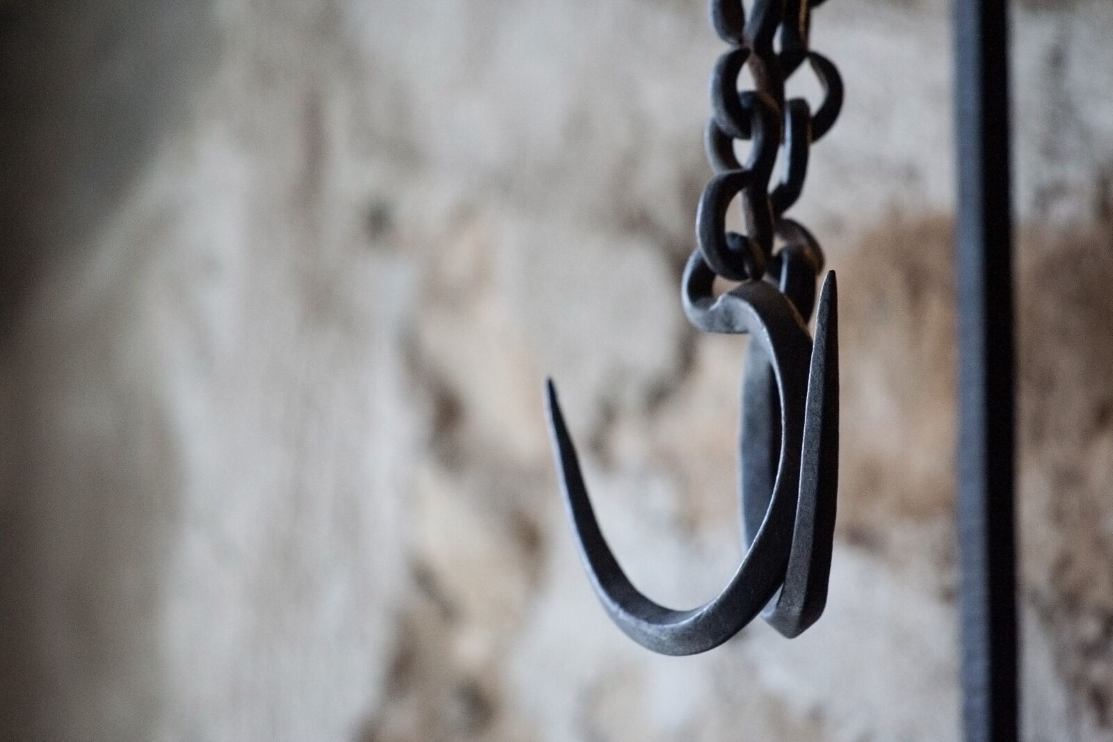 Canon EOS 350D (EOS Digital Rebel XT / EOS Kiss Digital N) sample photo. Hanging hook, suspension, metal photography
