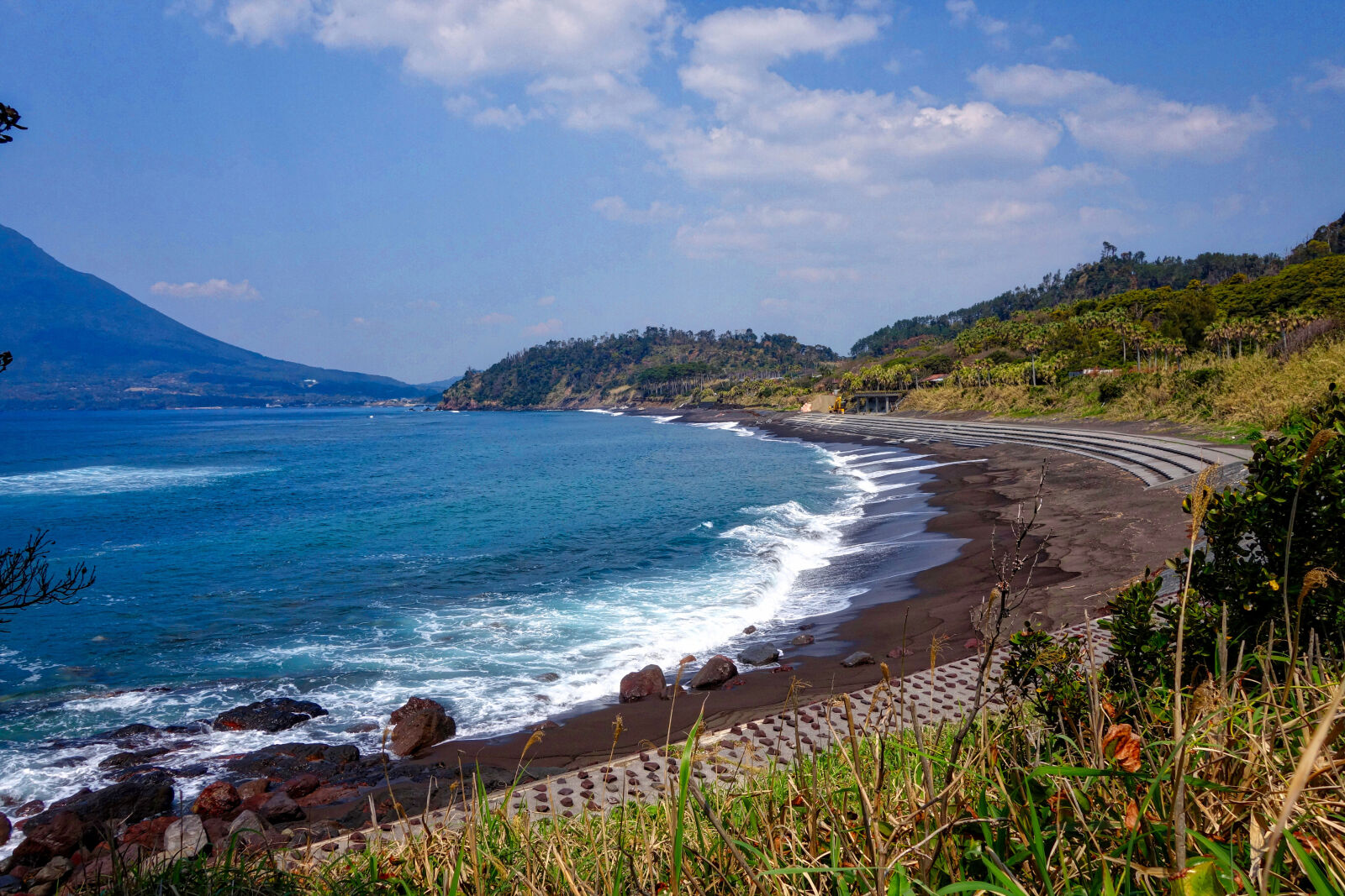 Sony Cyber-shot DSC-RX100 II sample photo. Kagoshima, japan, nagasaki, hana photography