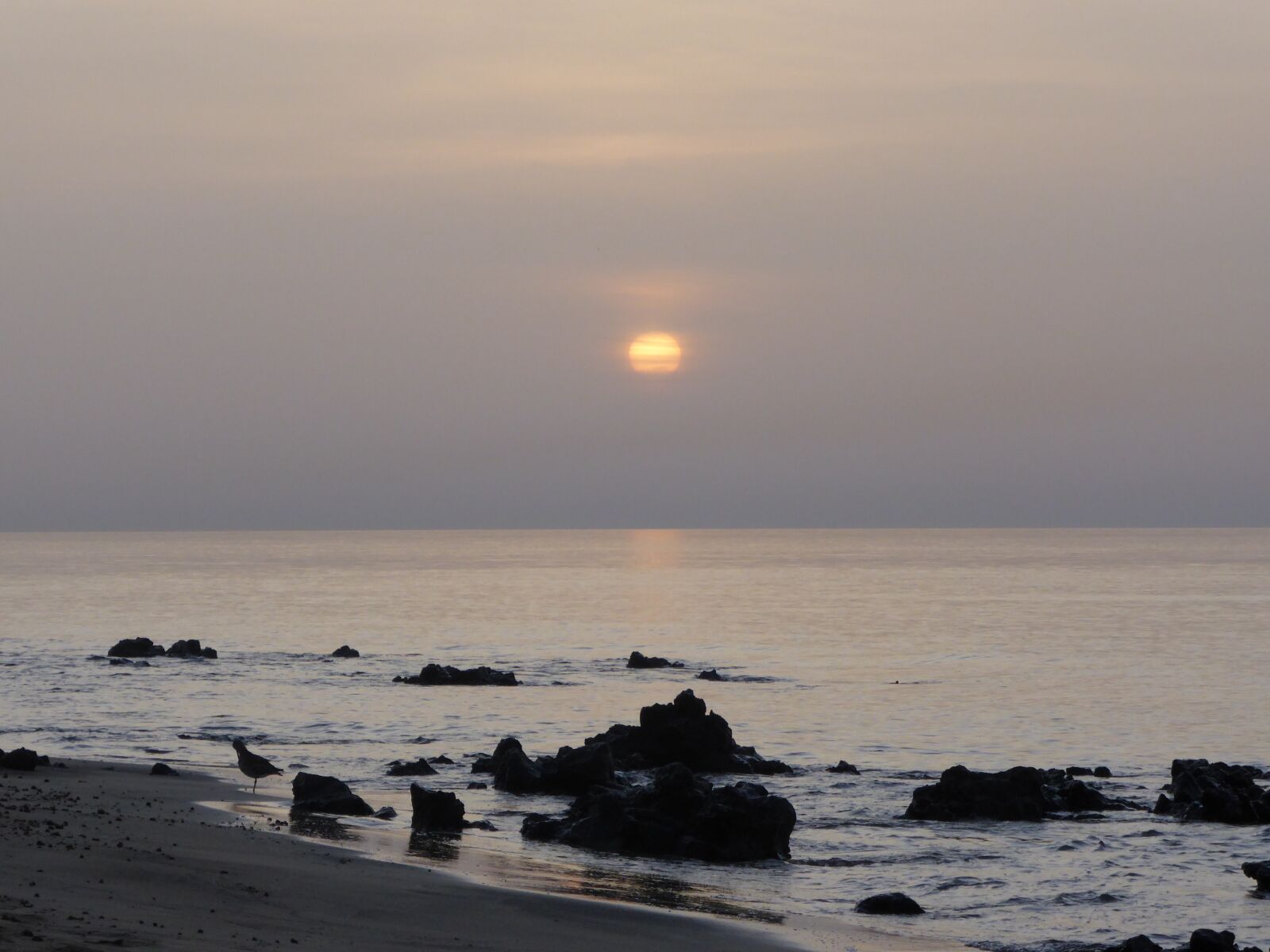 Panasonic Lumix DMC-ZS30 (Lumix DMC-TZ40) sample photo. Dawn, coast, sky photography