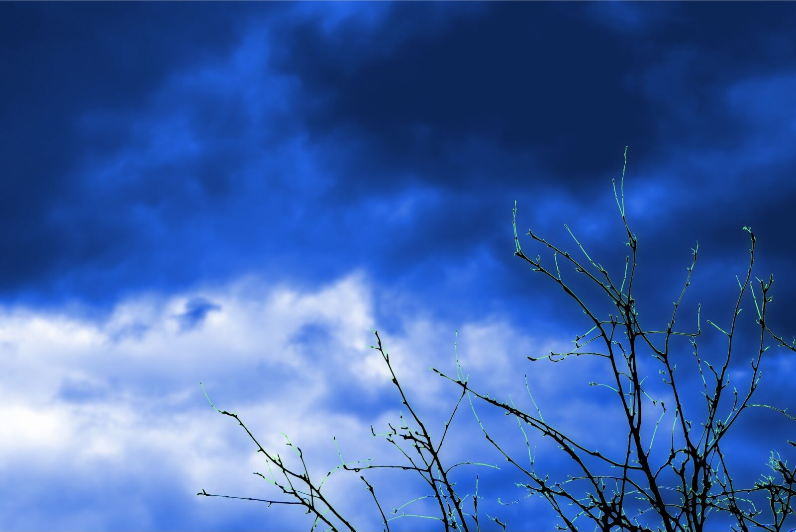 Sony Alpha DSLR-A200 sample photo. Sky, clouds, tree photography