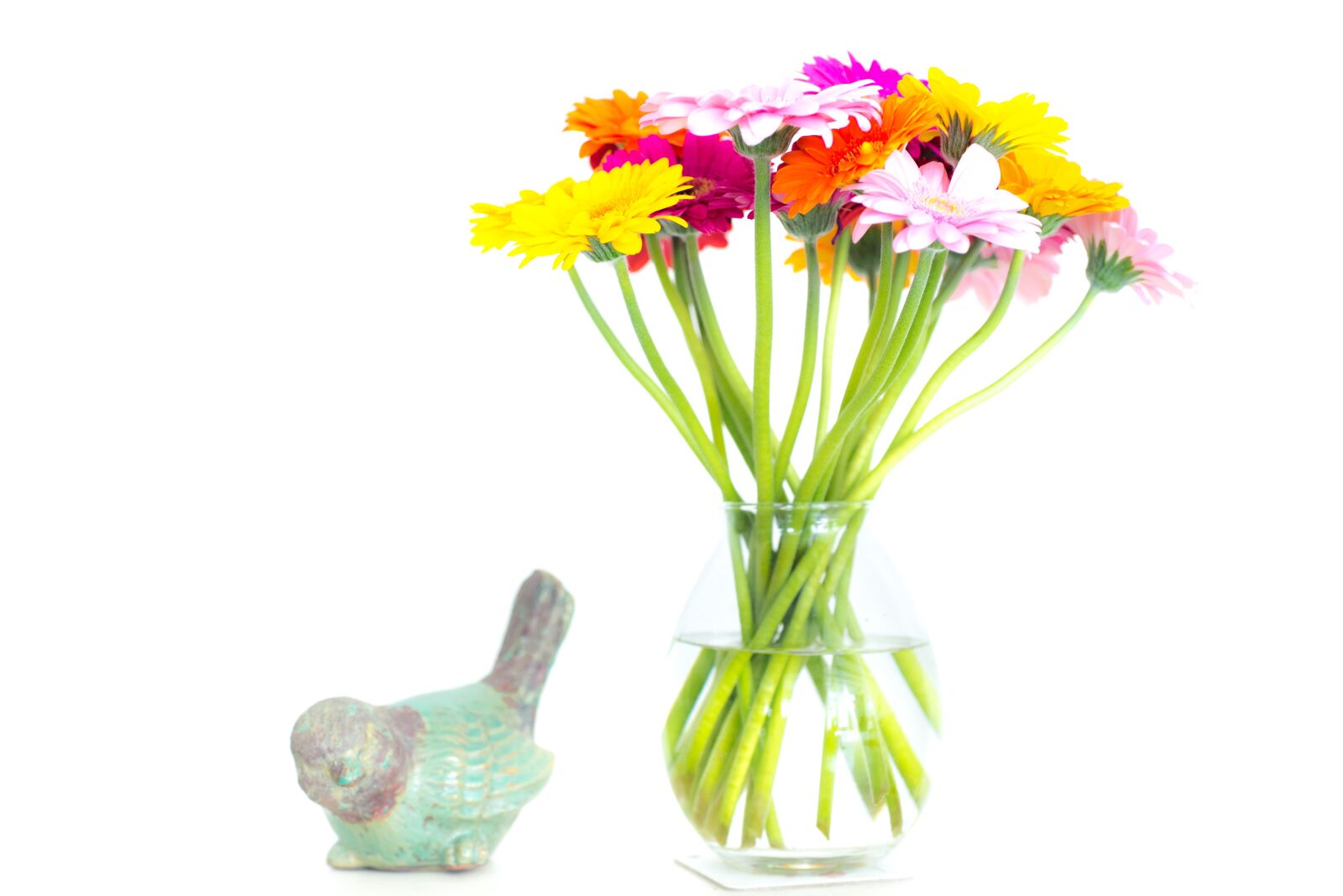 Nikon D610 sample photo. Flowers, vase, colorful photography