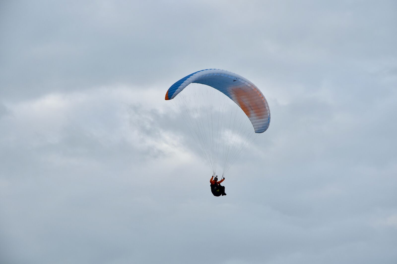 Nikon D5600 sample photo. Paragliding, paraglider, sailing wing photography