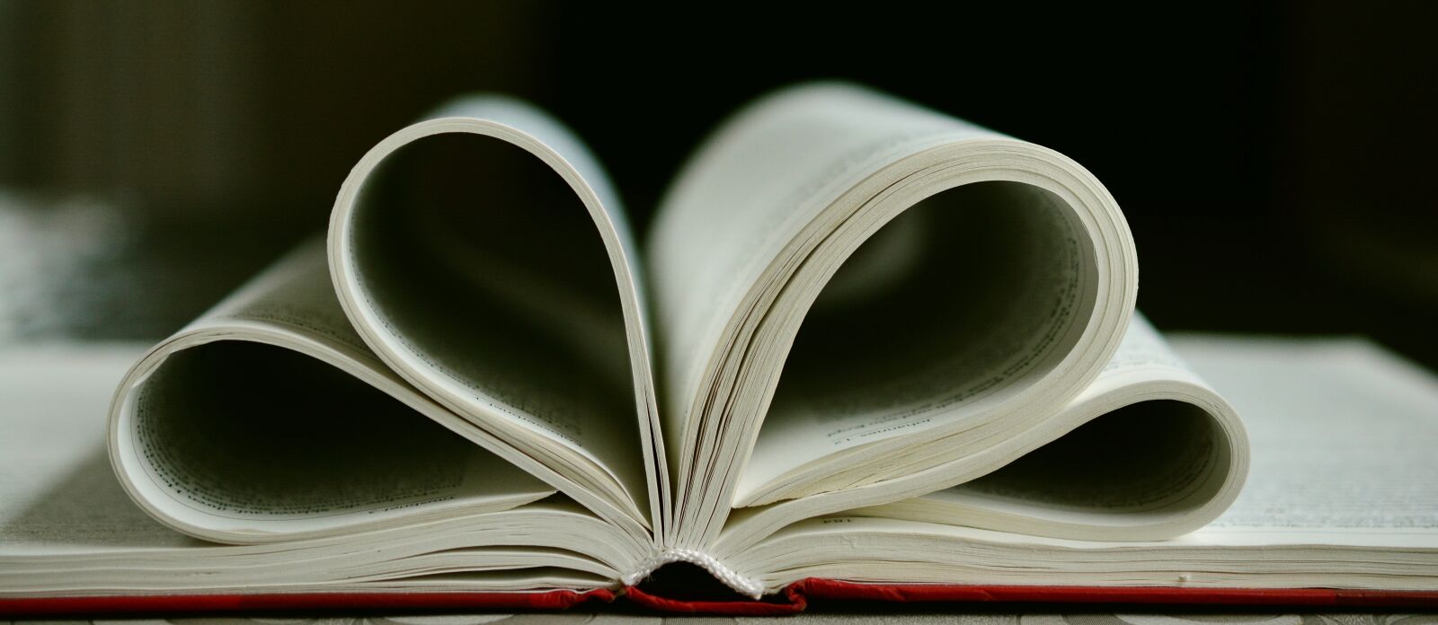 Nikon D5200 sample photo. Book, bible, new testament photography