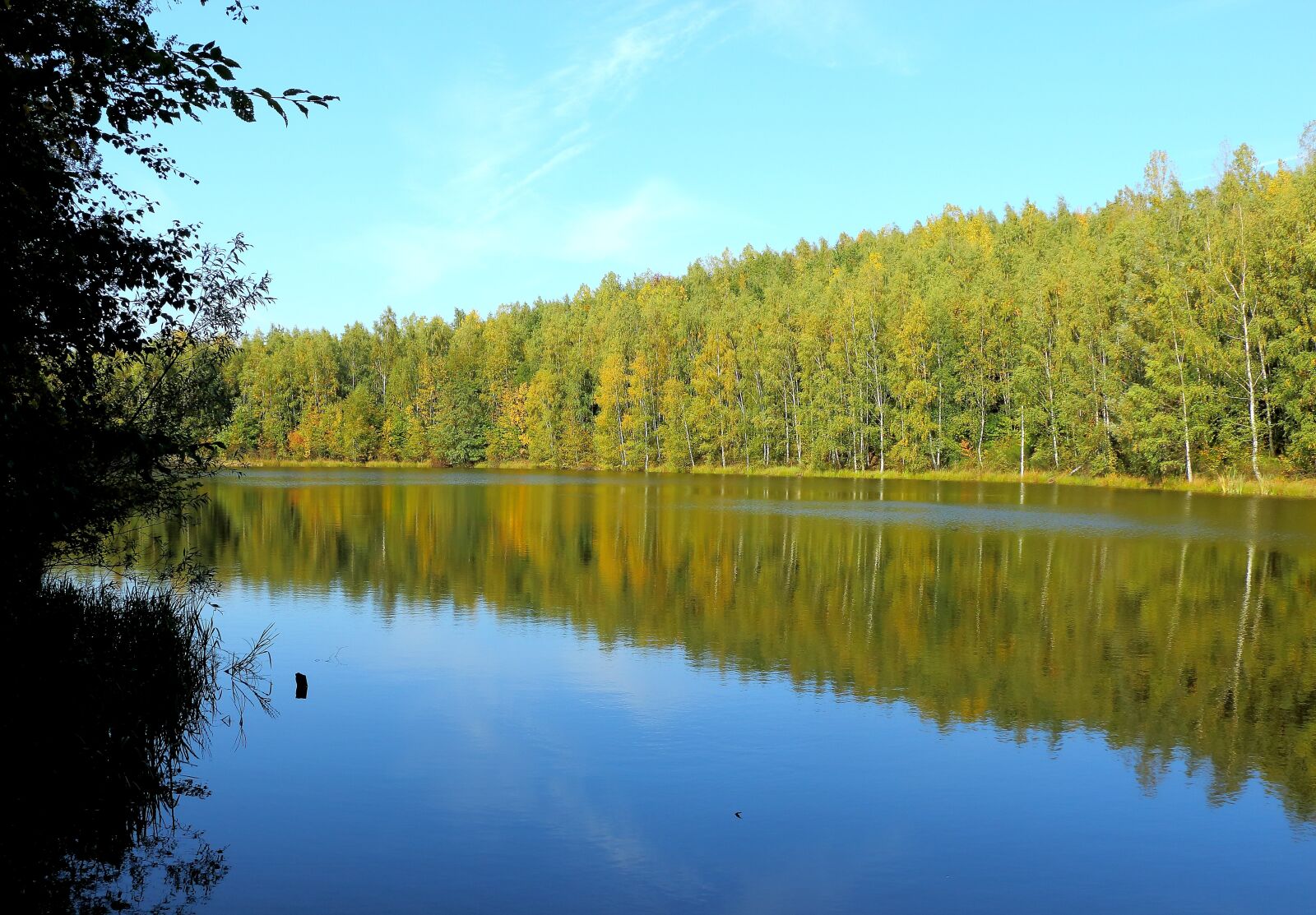 Canon EOS 700D (EOS Rebel T5i / EOS Kiss X7i) sample photo. Lake, forest, waldsee photography