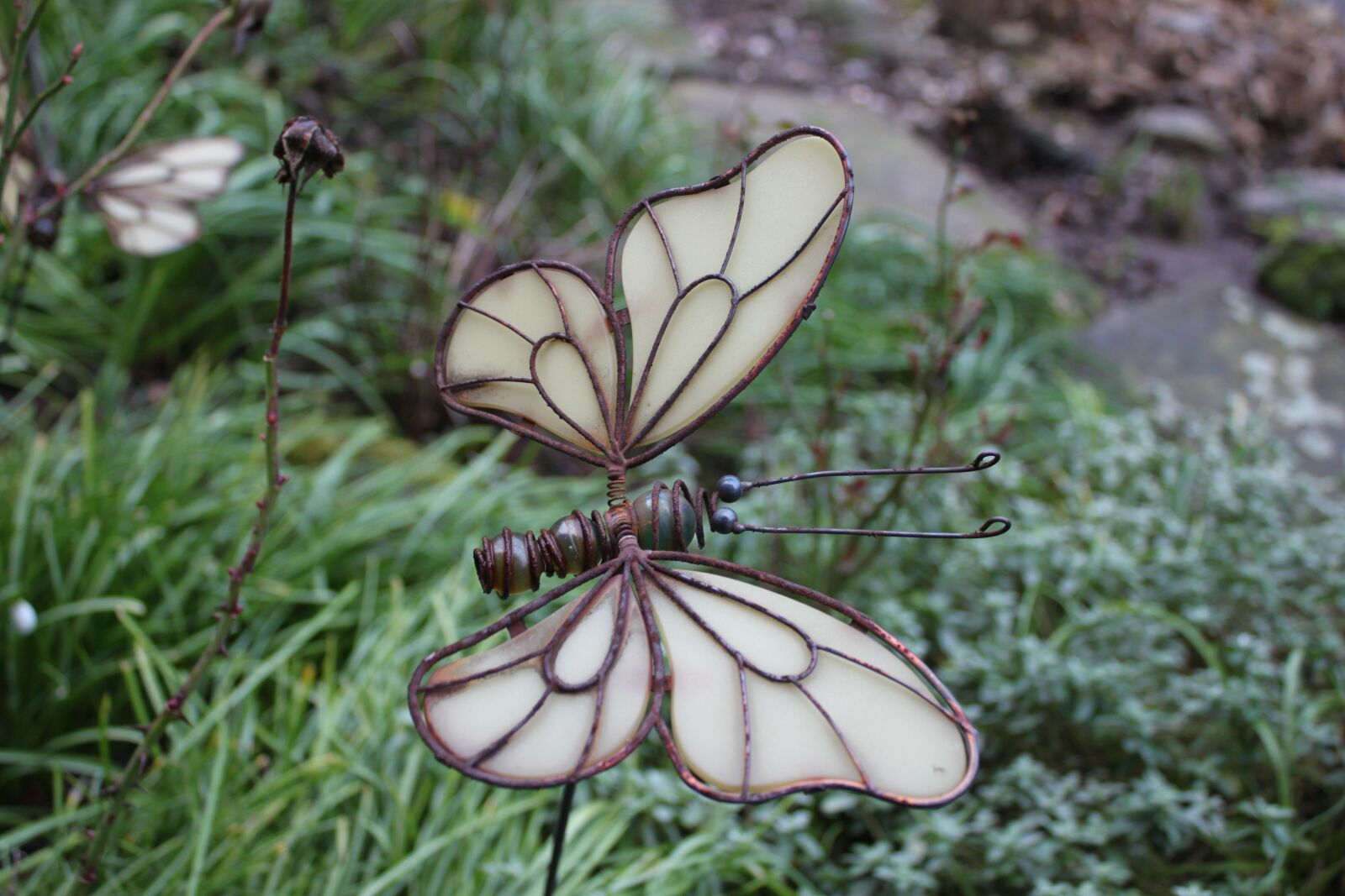 Canon EOS 500D (EOS Rebel T1i / EOS Kiss X3) sample photo. Nature, insect, butterfly photography