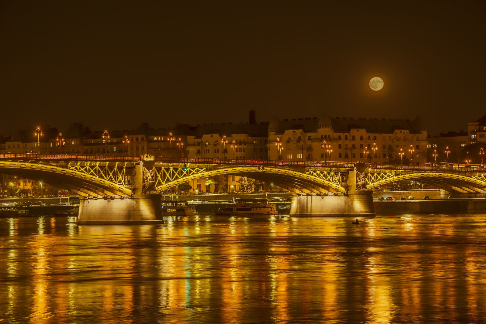 Nikon D5500 sample photo. Full moon, bridge, danube photography