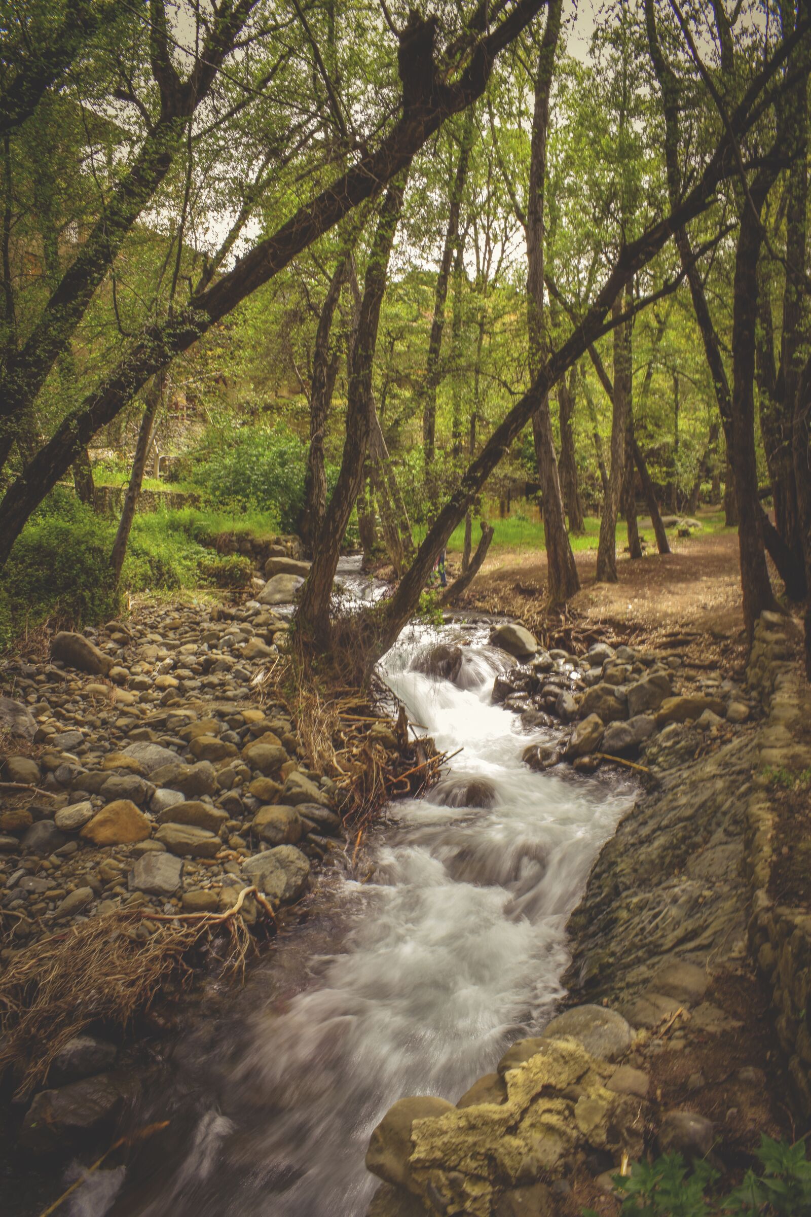 Nikon D3300 sample photo. Stream, creek, scenic photography