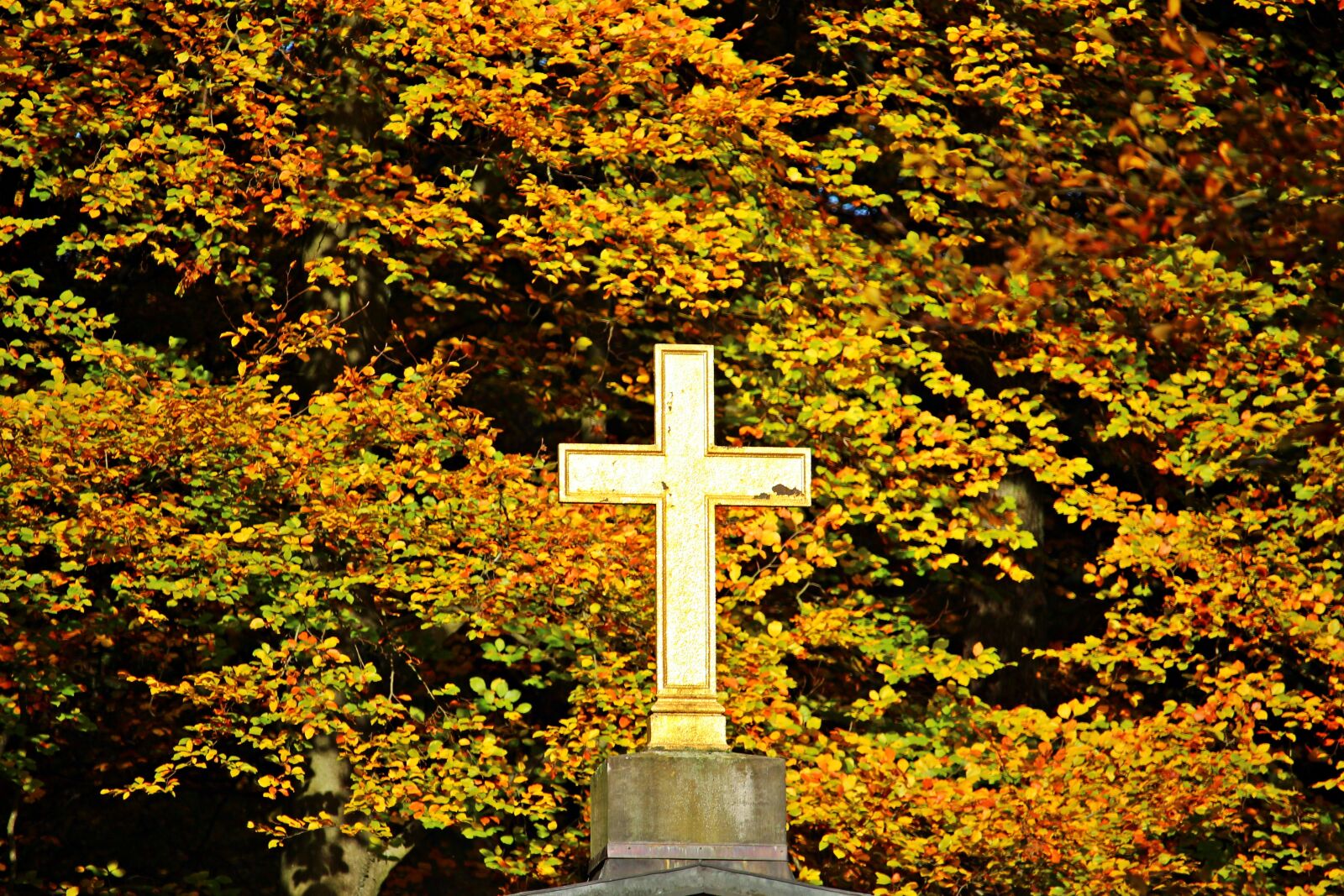 Canon EOS 100D (EOS Rebel SL1 / EOS Kiss X7) sample photo. Cross, autumn, fall foliage photography