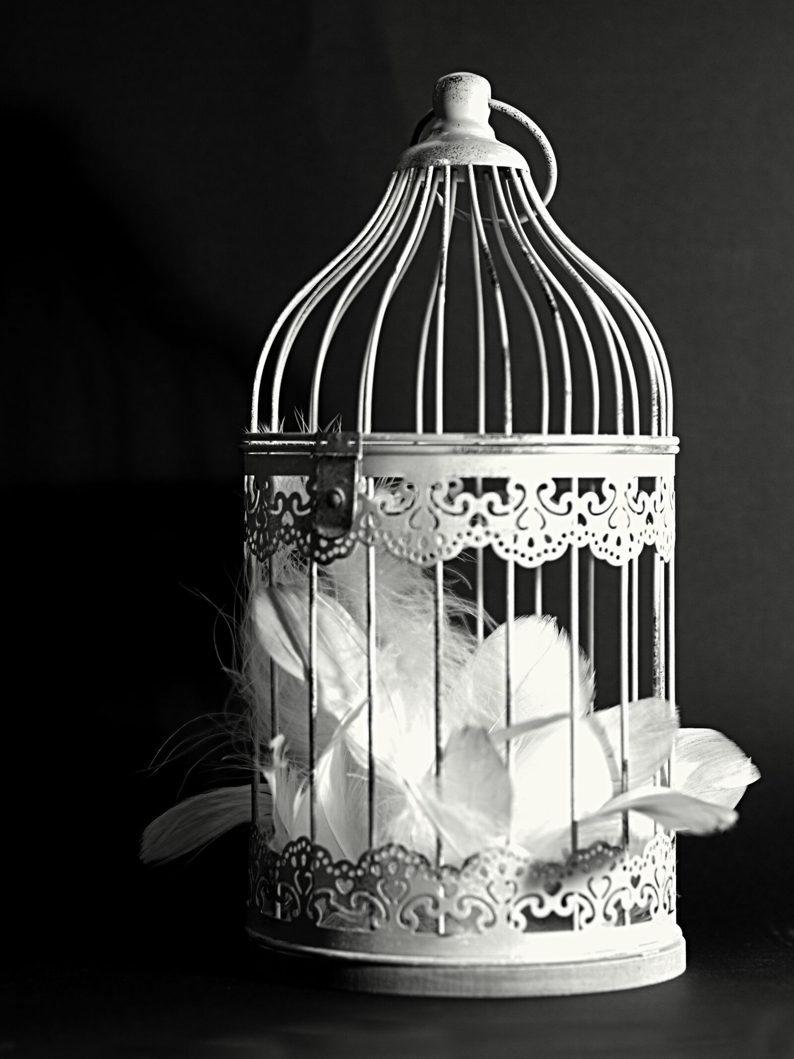 Sony ILCA-77M2 + Minolta AF 50mm F1.4 [New] sample photo. Decoration, cage, feather photography