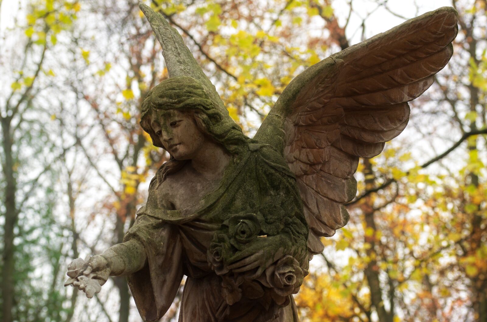 Nikon D5100 sample photo. Sculpture, stone, angel photography
