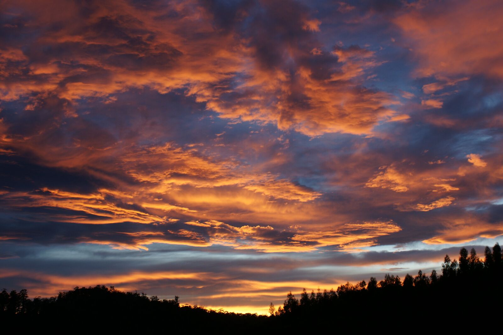 Sony Alpha DSLR-A700 sample photo. Sky, clouds, night photography