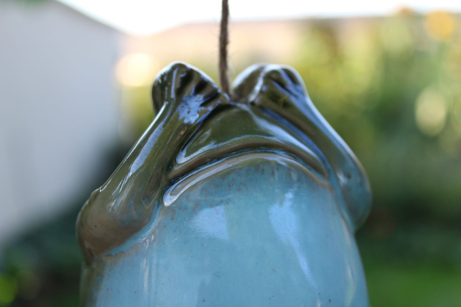 Canon EOS 1300D (EOS Rebel T6 / EOS Kiss X80) sample photo. Frog, nature, toad photography