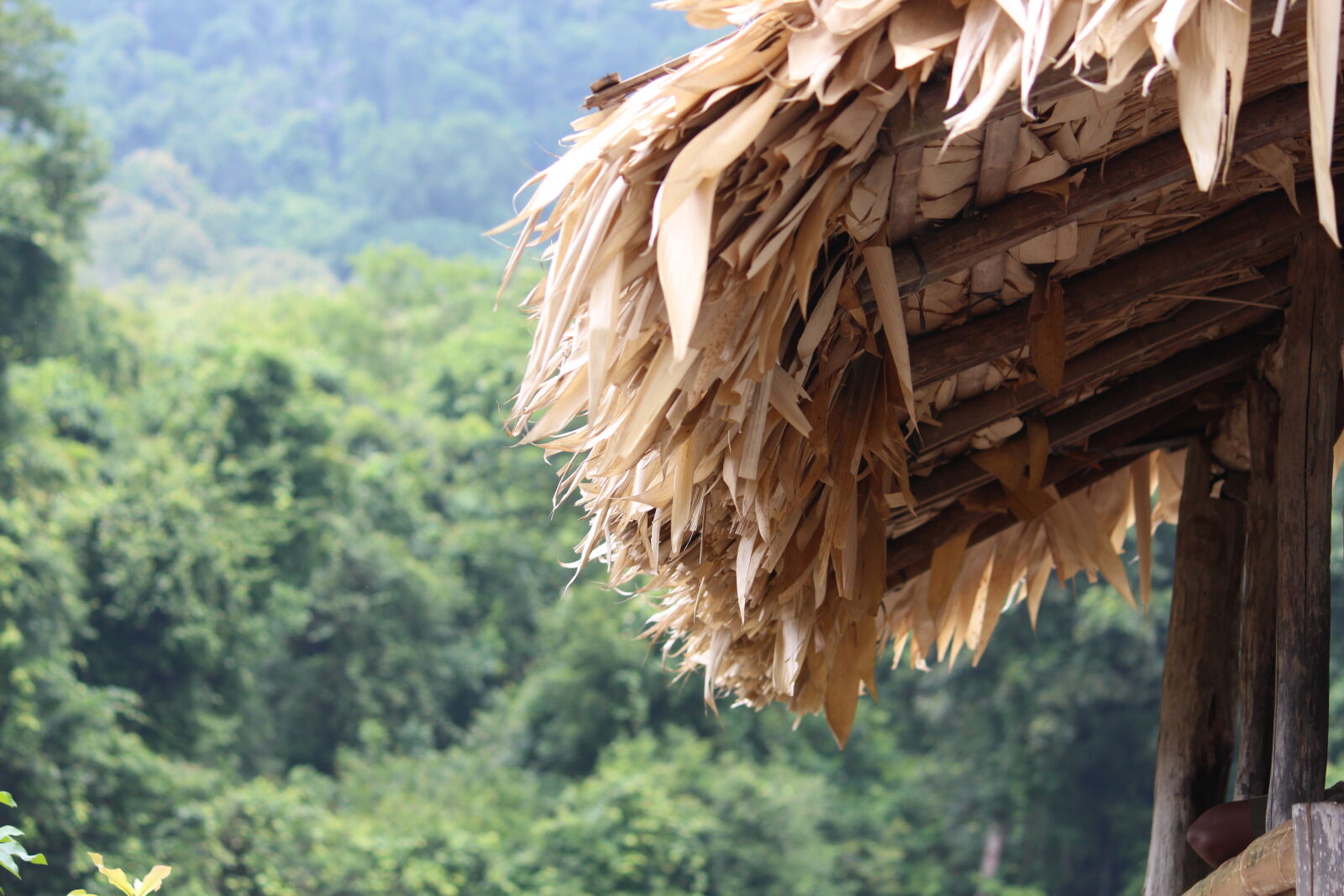 Canon EOS 700D (EOS Rebel T5i / EOS Kiss X7i) sample photo. At, athirappilly photography
