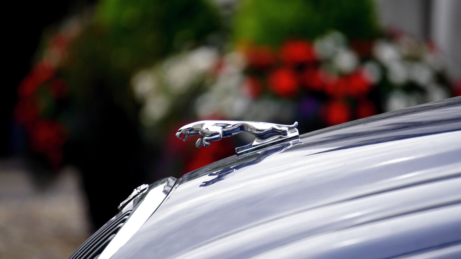 Sony E 55-210mm F4.5-6.3 OSS sample photo. Car, bonnet, jaguar photography