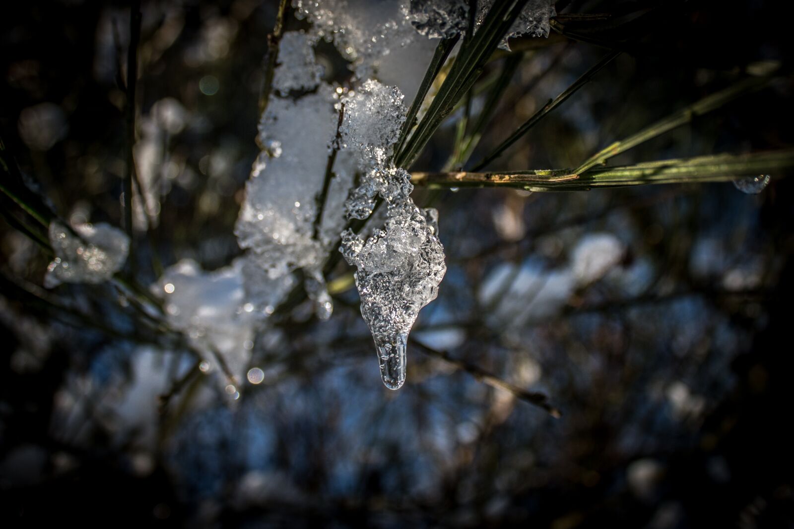Canon EOS 70D + Canon EF-S 18-55mm F3.5-5.6 III sample photo. Ice drop, frozen, winter photography