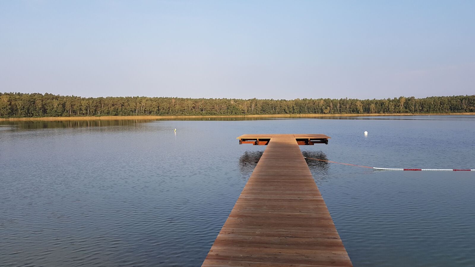 Samsung Galaxy S7 sample photo. Lake, web, summer photography