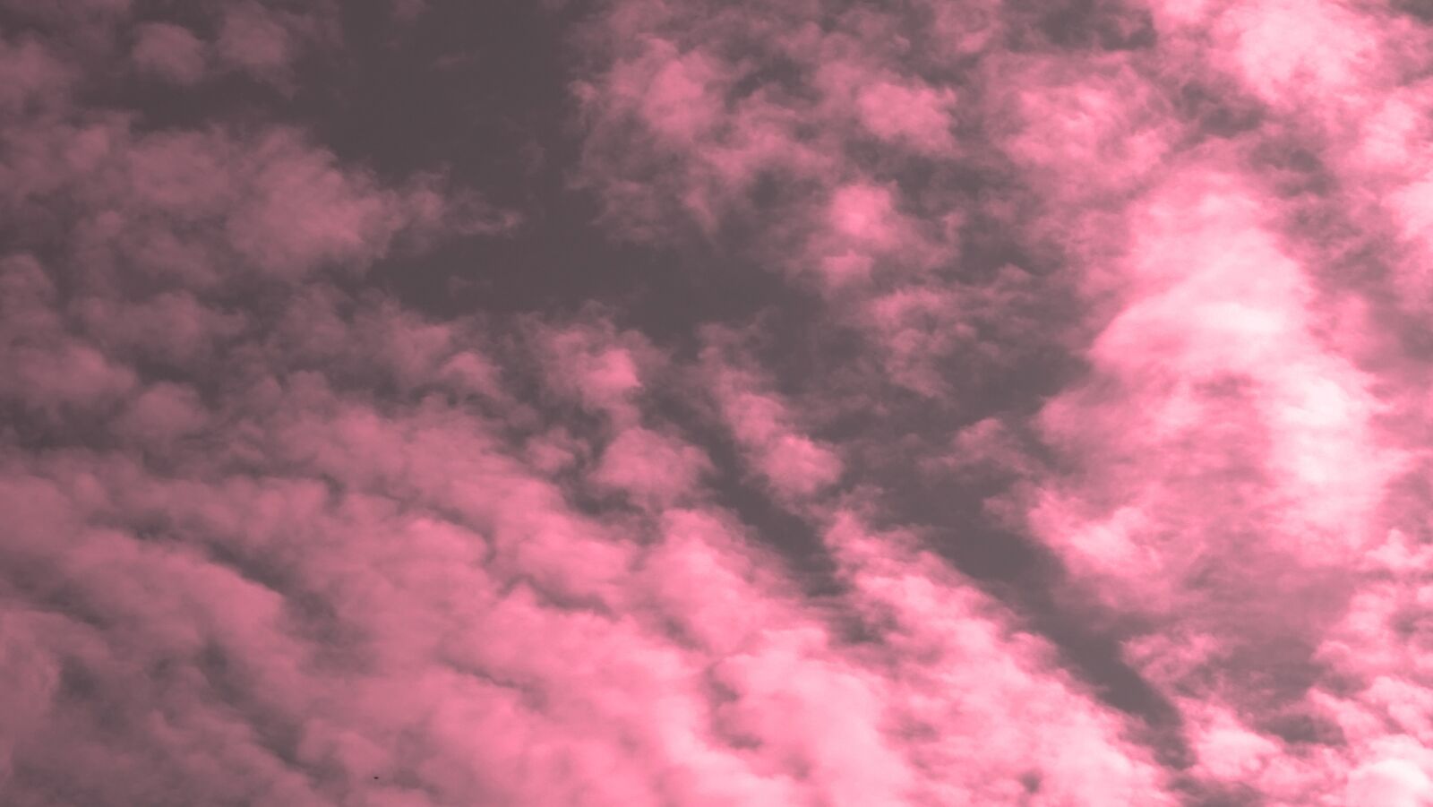 Sony DSC-HX400 sample photo. Sky, paradise, aesthetic photography
