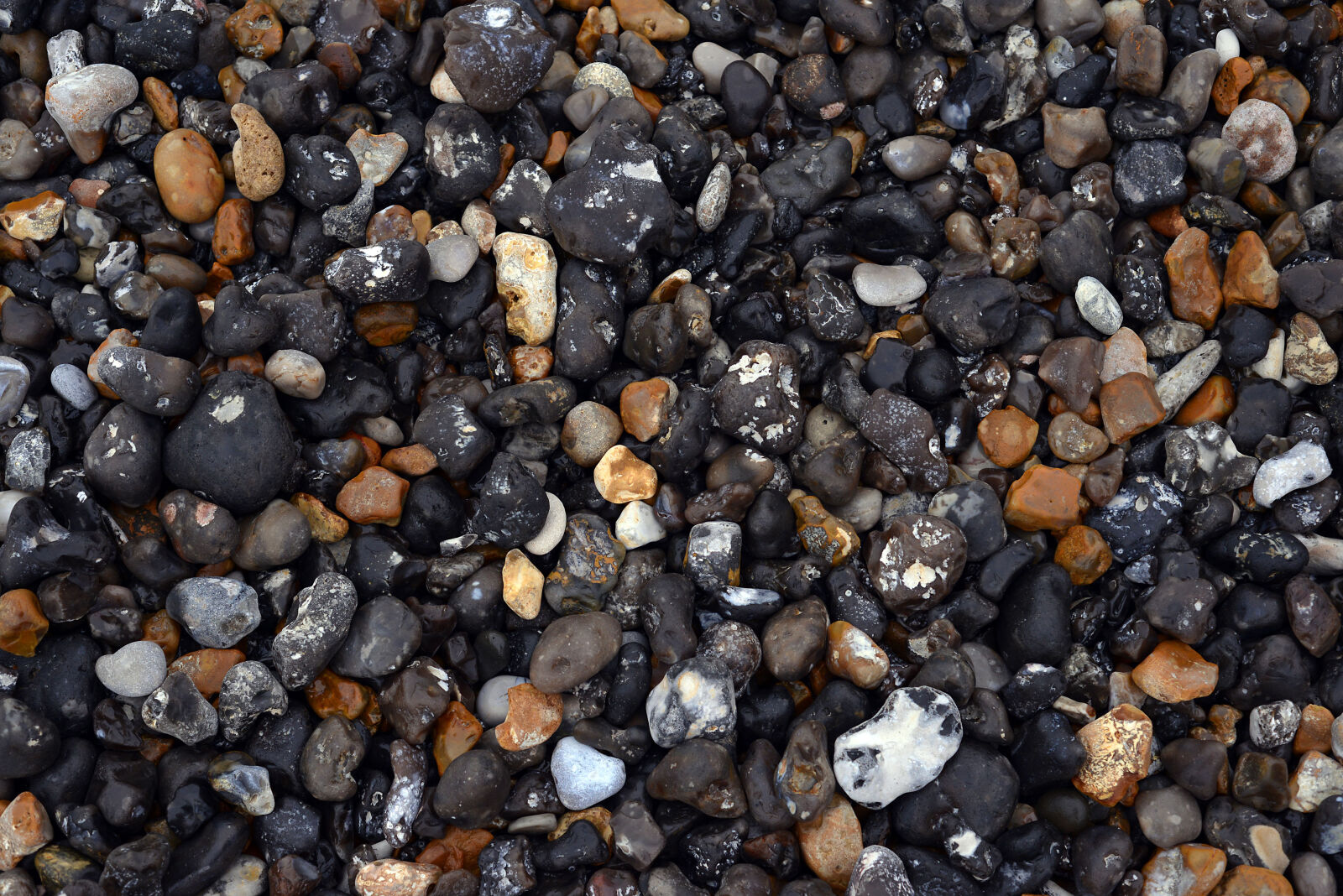 Nikon D800 sample photo. Beach, peeble photography