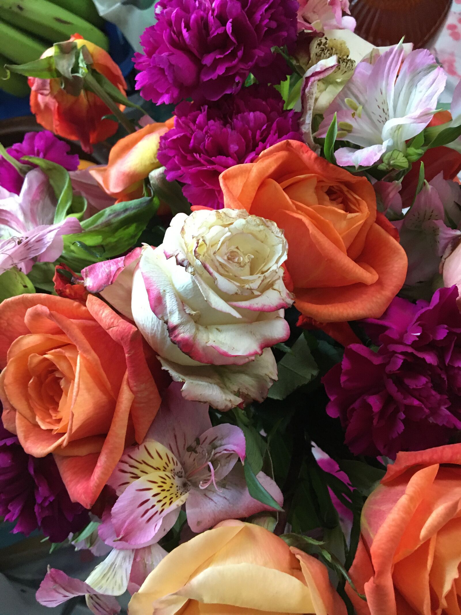 iPhone 6s back camera 4.15mm f/2.2 sample photo. Flowers, tulips, spring photography