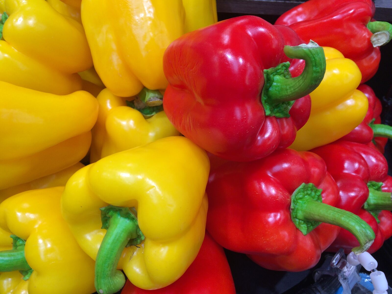 iPhone 5s back camera 4.15mm f/2.2 sample photo. Paprika, red, huang photography